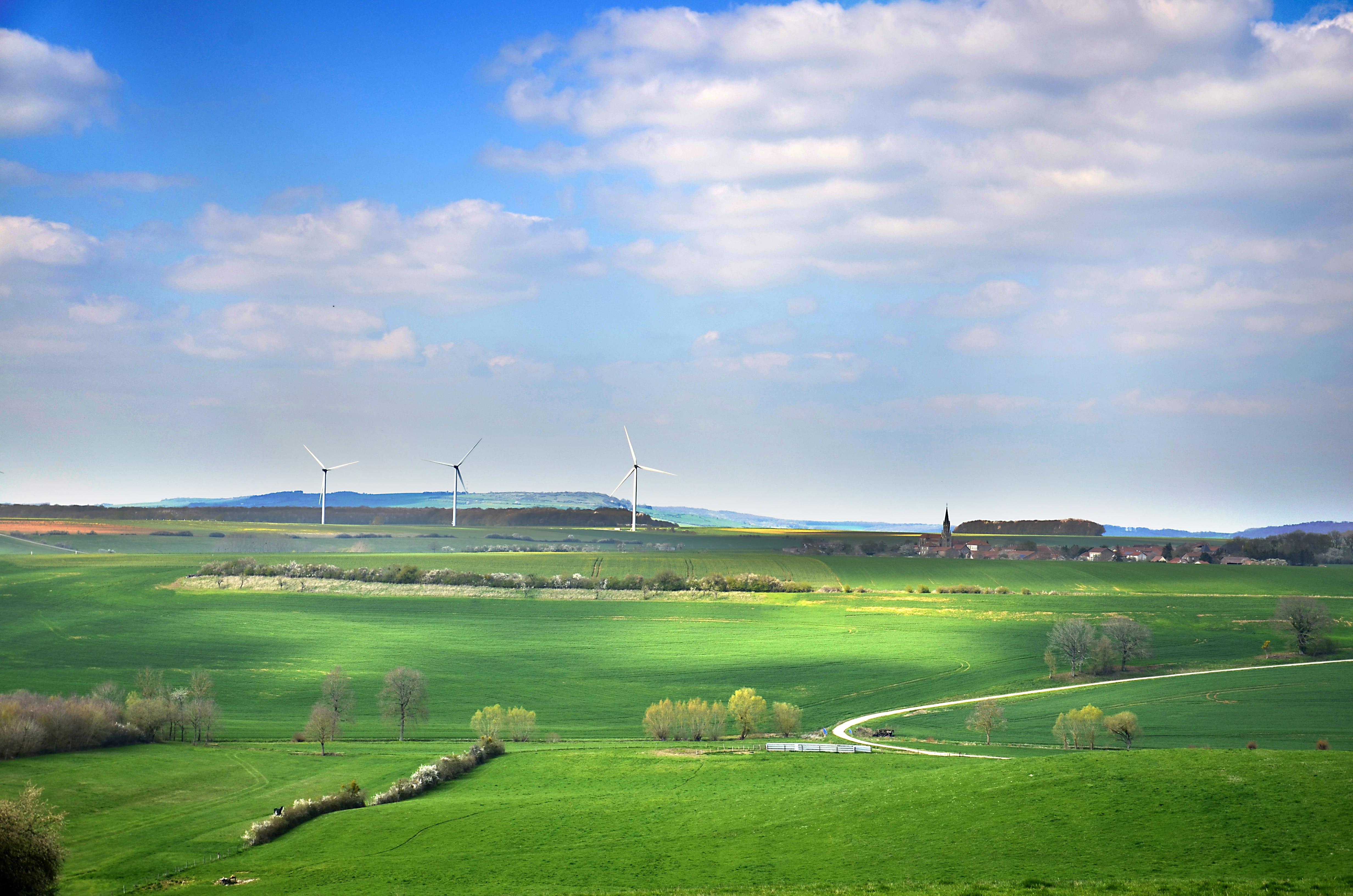 beauty in nature, renewable energy, wind turbine, clean electricity, outdoors, green, agriculture, landscape, rural scene, cloud - sky, sky, wind, fuel and power generation, HD Wallpaper