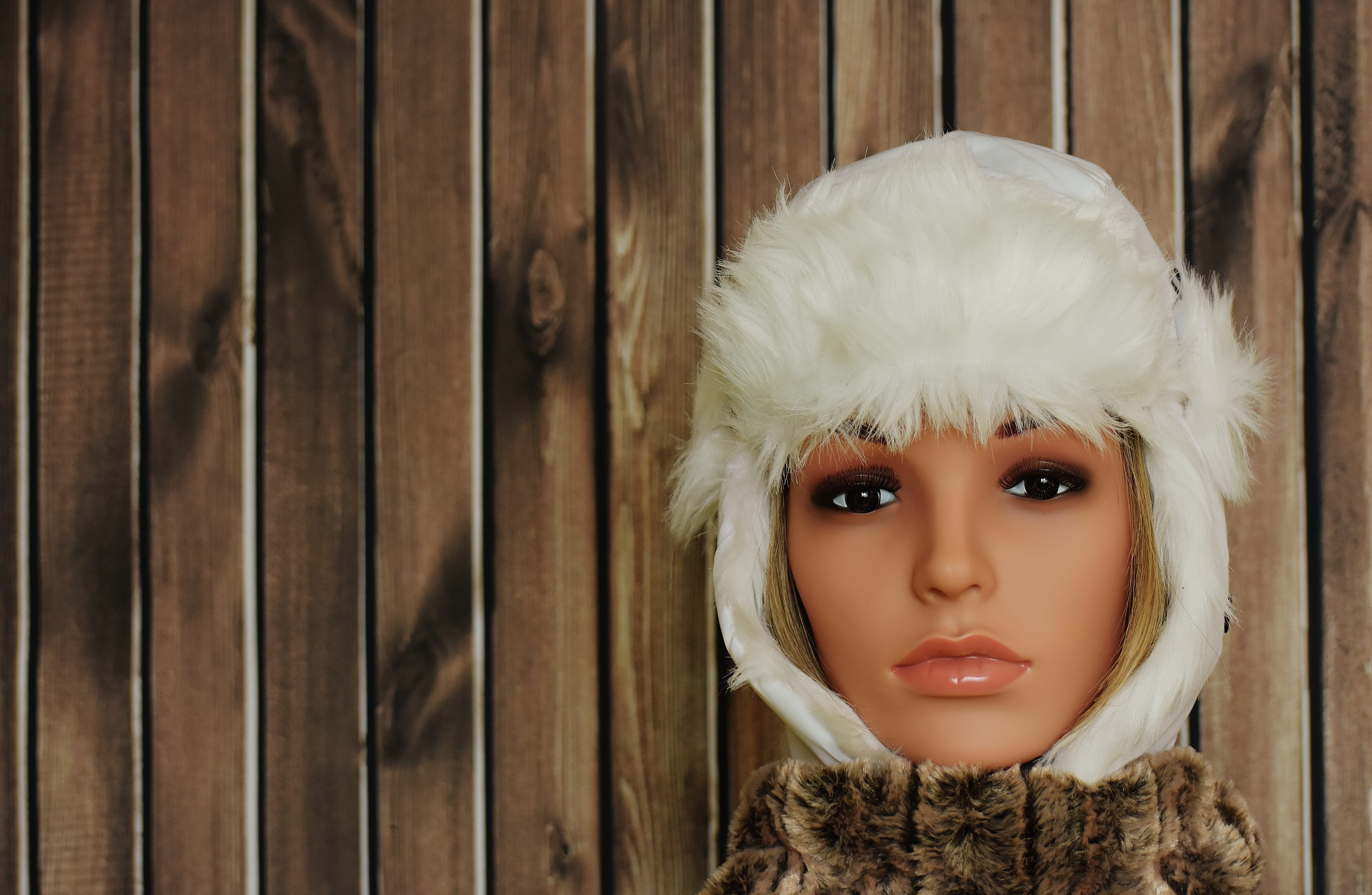 Cold, headshot, Winter, human body part, 5K, fashion, looking at camera, one person, adults only, dolls head, wood - material, adult, Female, front view, HD Wallpaper