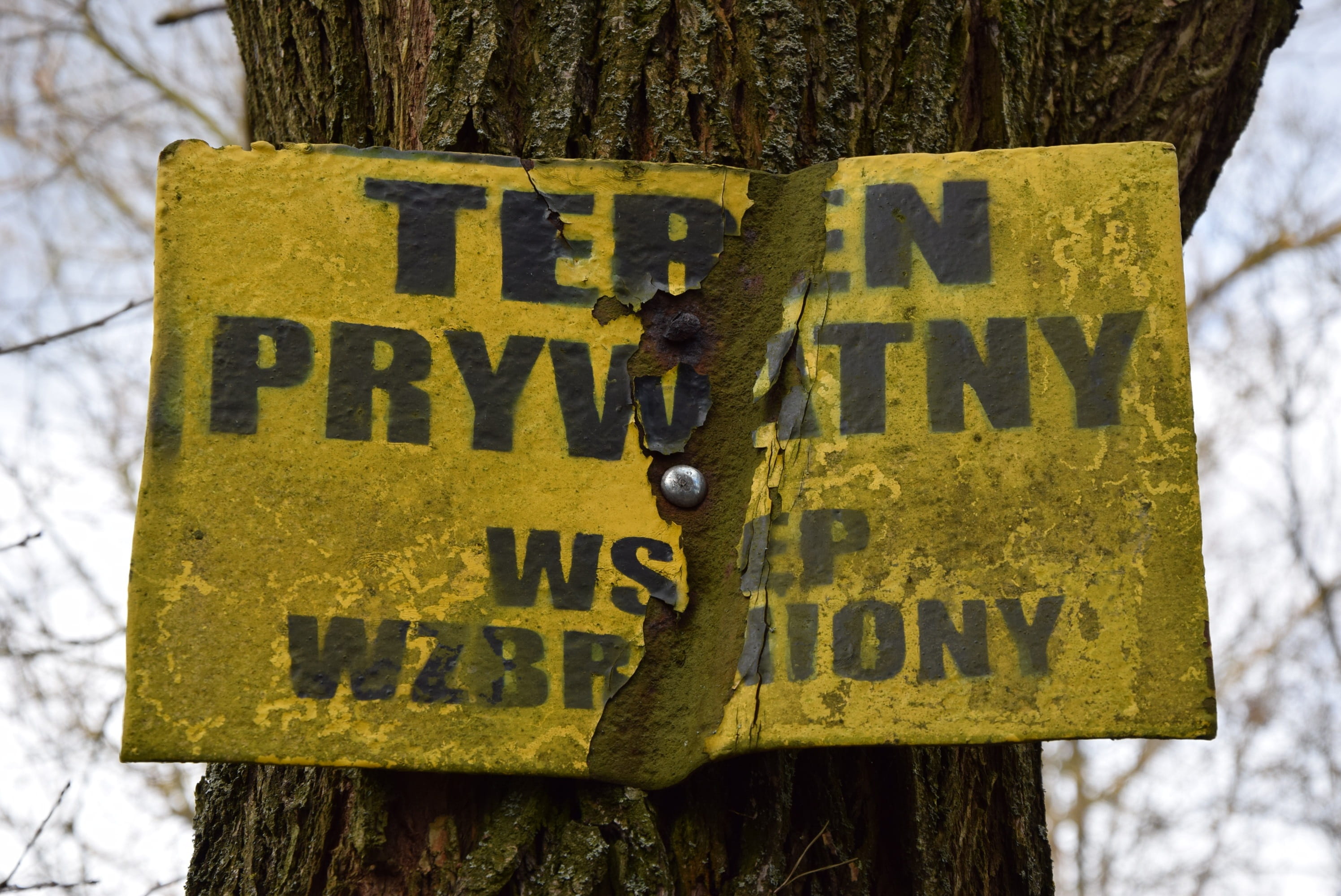communication, yellow, plant, western script, day, trunk, road sign, Array, tree trunk, exclusion, danger, 2K, nature, Rust, guidance, text, warning sign, HD Wallpaper