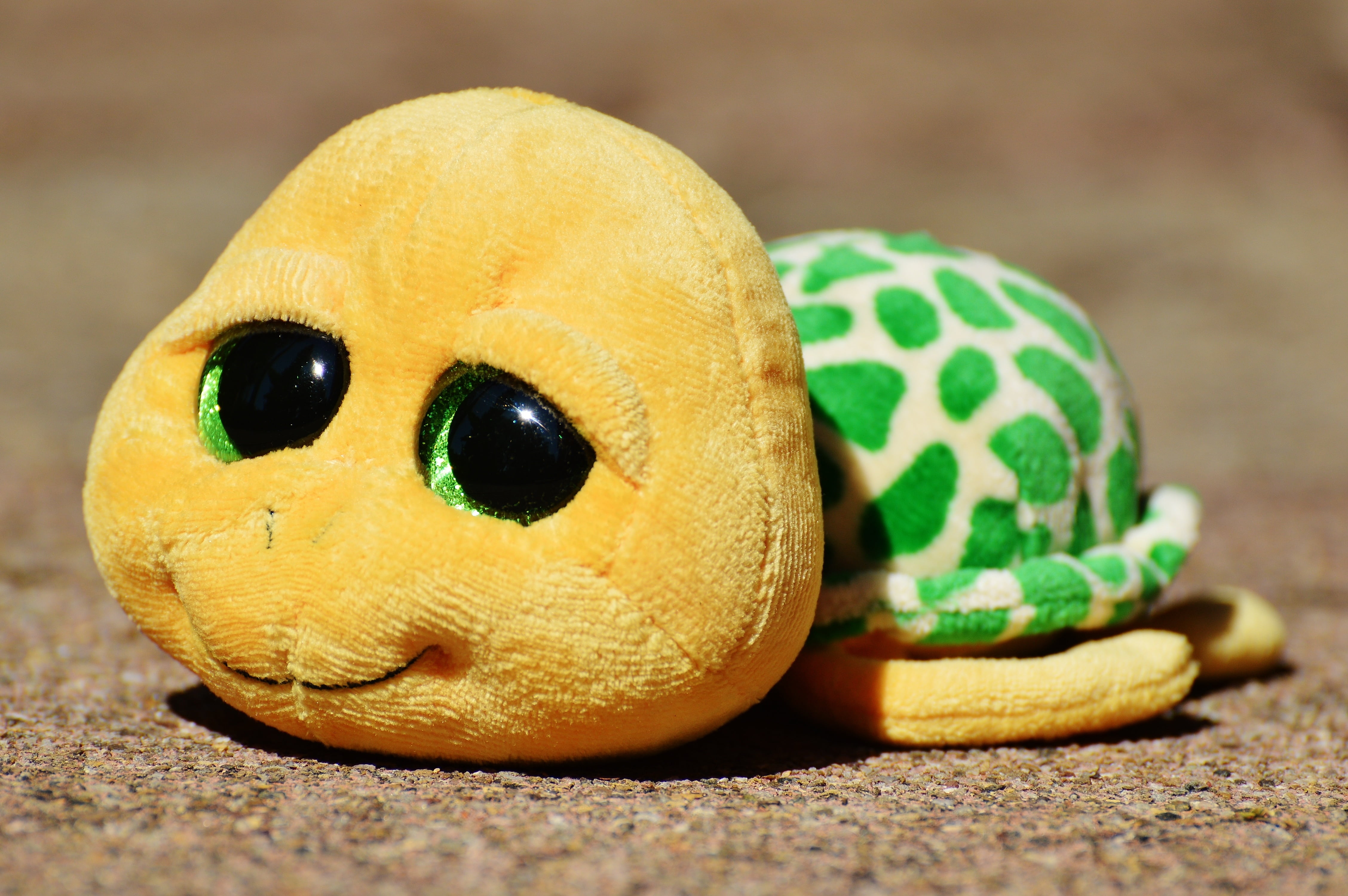 yellow, animal wildlife, animal representation, nature, indoors, eye, photography, one animal, stuffed animal, animal themes, cuddly, mammal, glitter eyes, HD Wallpaper