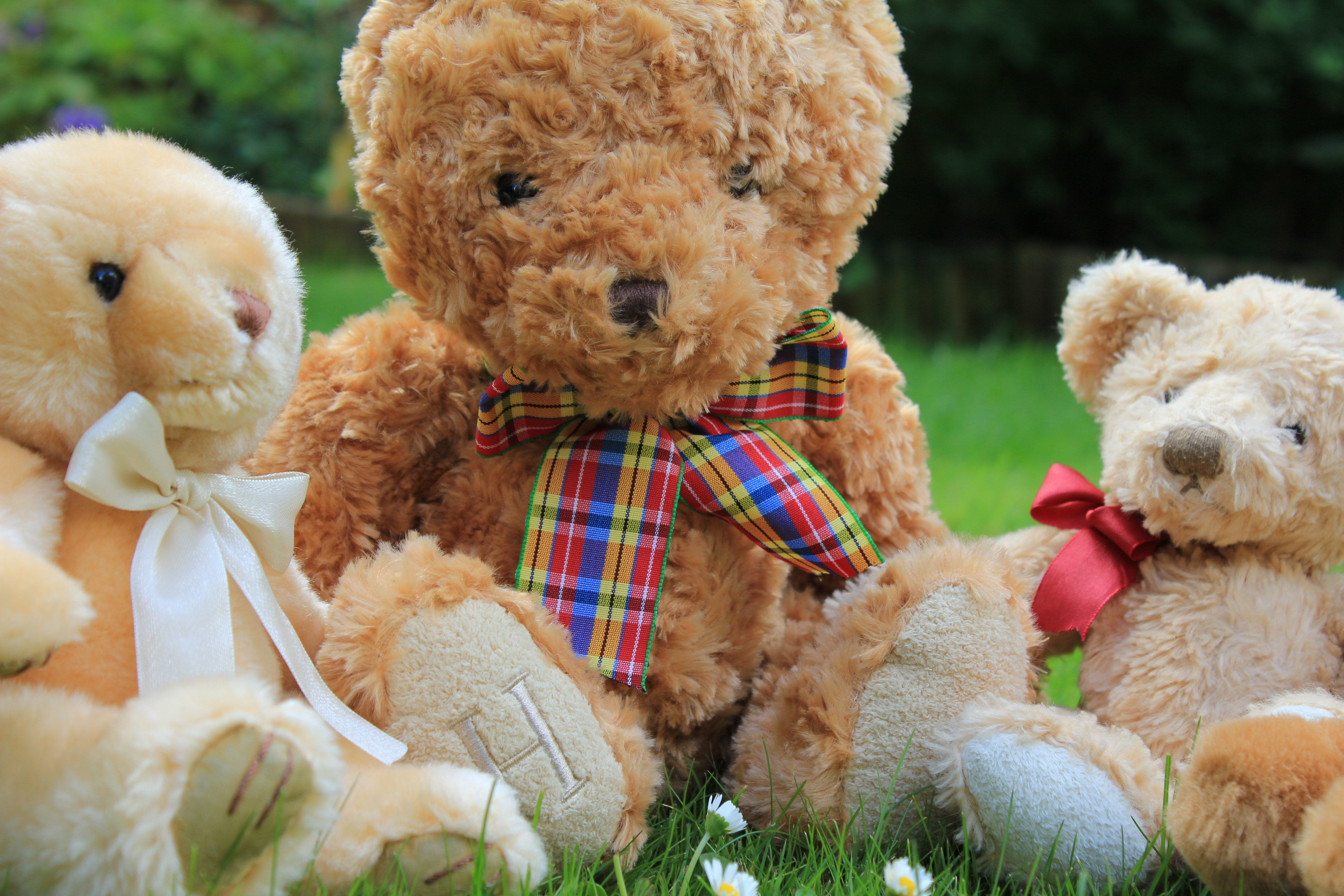 5K, childhood, group of animals, domestic animals, animal representation, brown, canine, mammal, affection, animal themes, garden, bear, fluffy, stuffed, HD Wallpaper