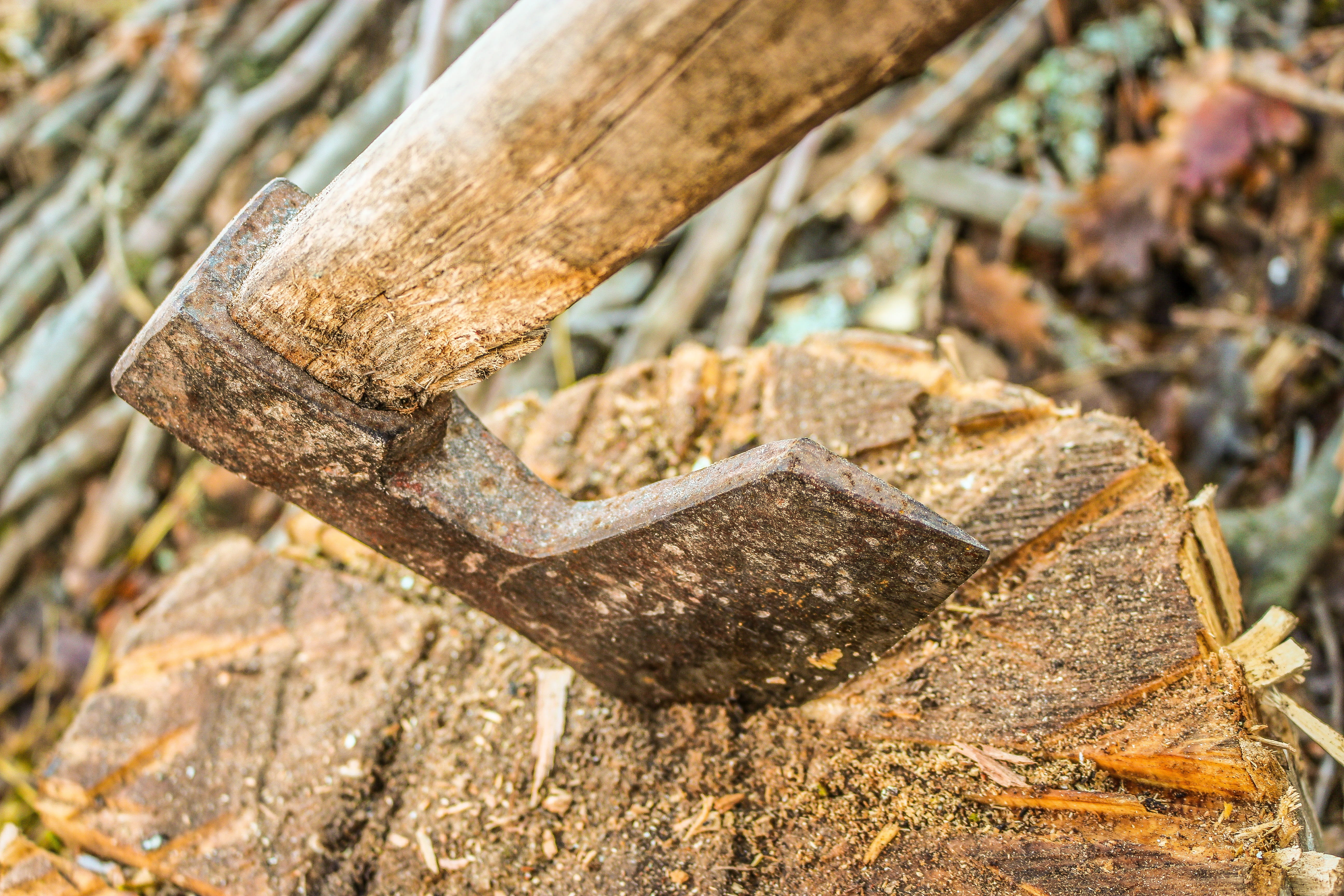 textured, sharp, logging, log, day, selective focus, land, plant, cut, plant part, tree trunk, lumber, axe, bark, tool, outdoors, wood - material, deforestation, HD Wallpaper