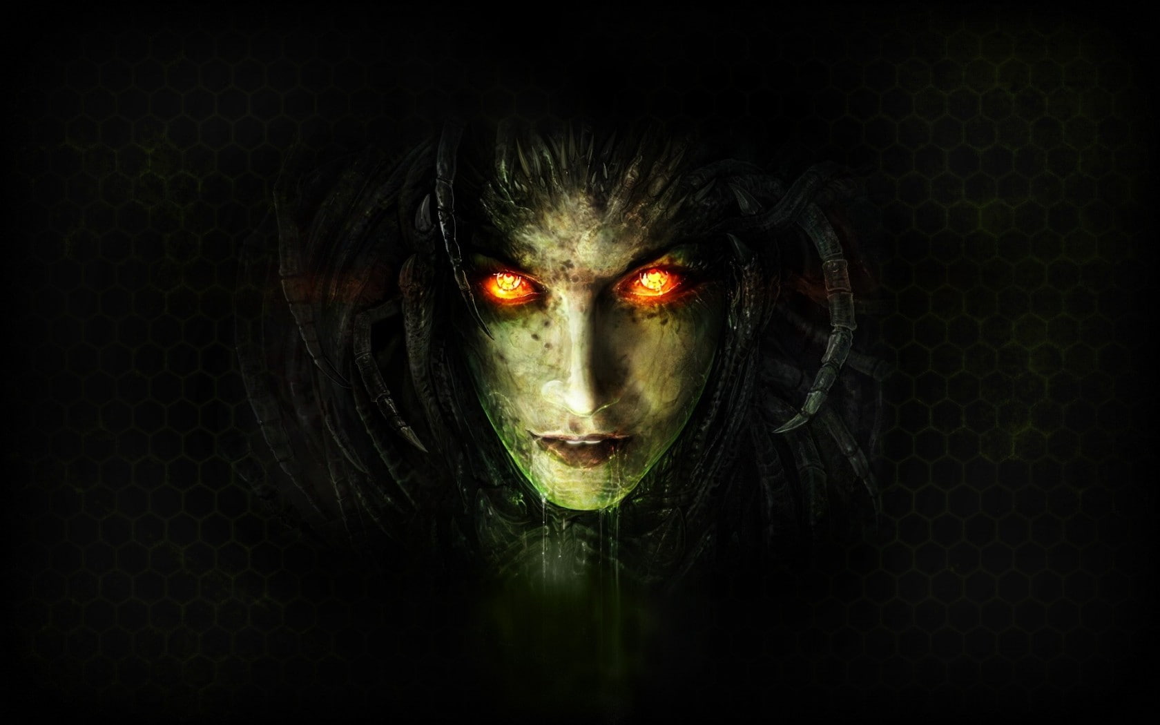 Heart of the swarm, abstract, black color, Queen of blades, portrait, Sarah kerrigan, headshot, dark, indoors, Blizzard, Zerg, front view, looking at camera, HD Wallpaper