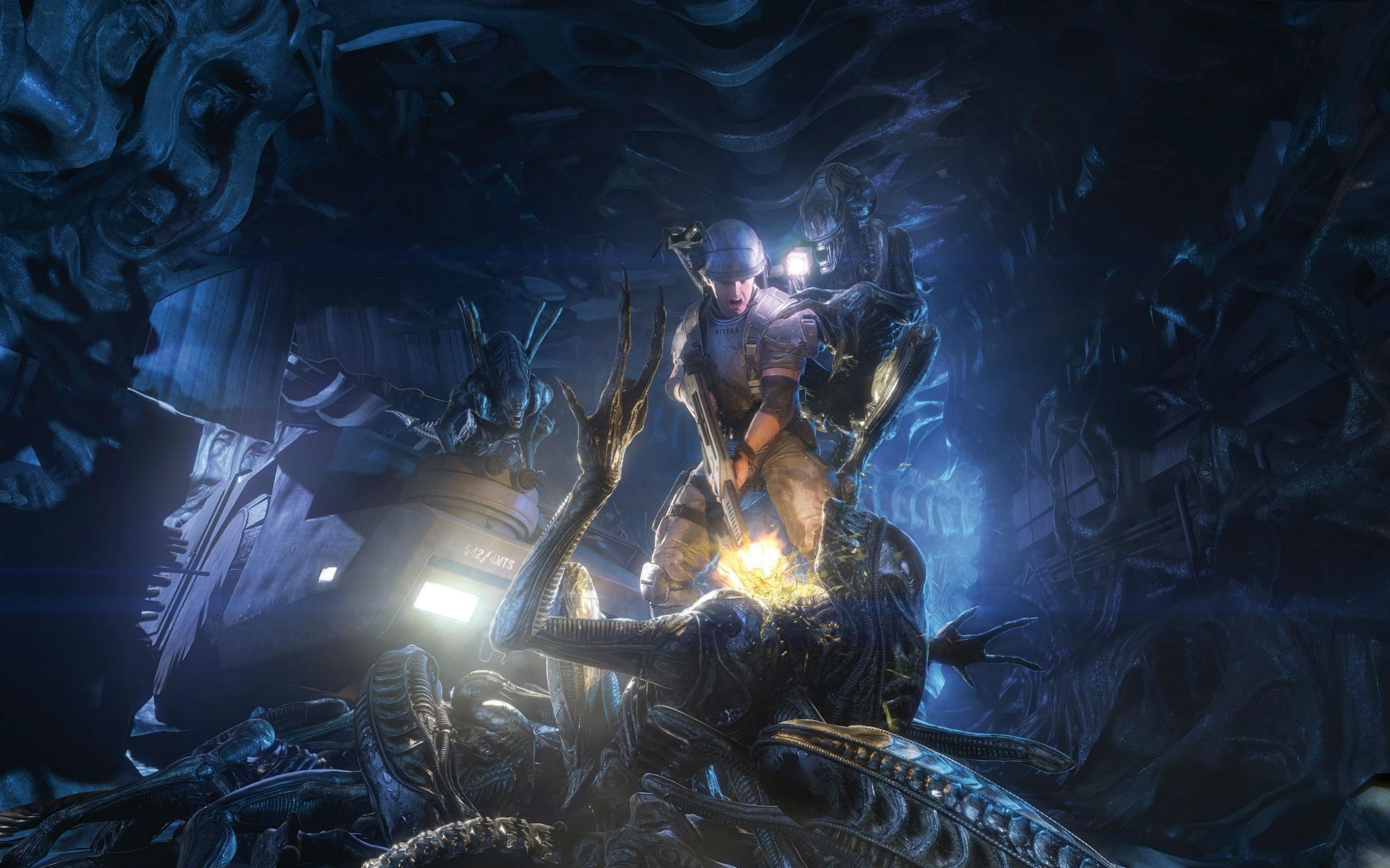 indoors, males, aliens colonial marines, 2K, nature, government, mid adult men, two people, people, occupation, clothing, protection, night, mid adult, HD Wallpaper