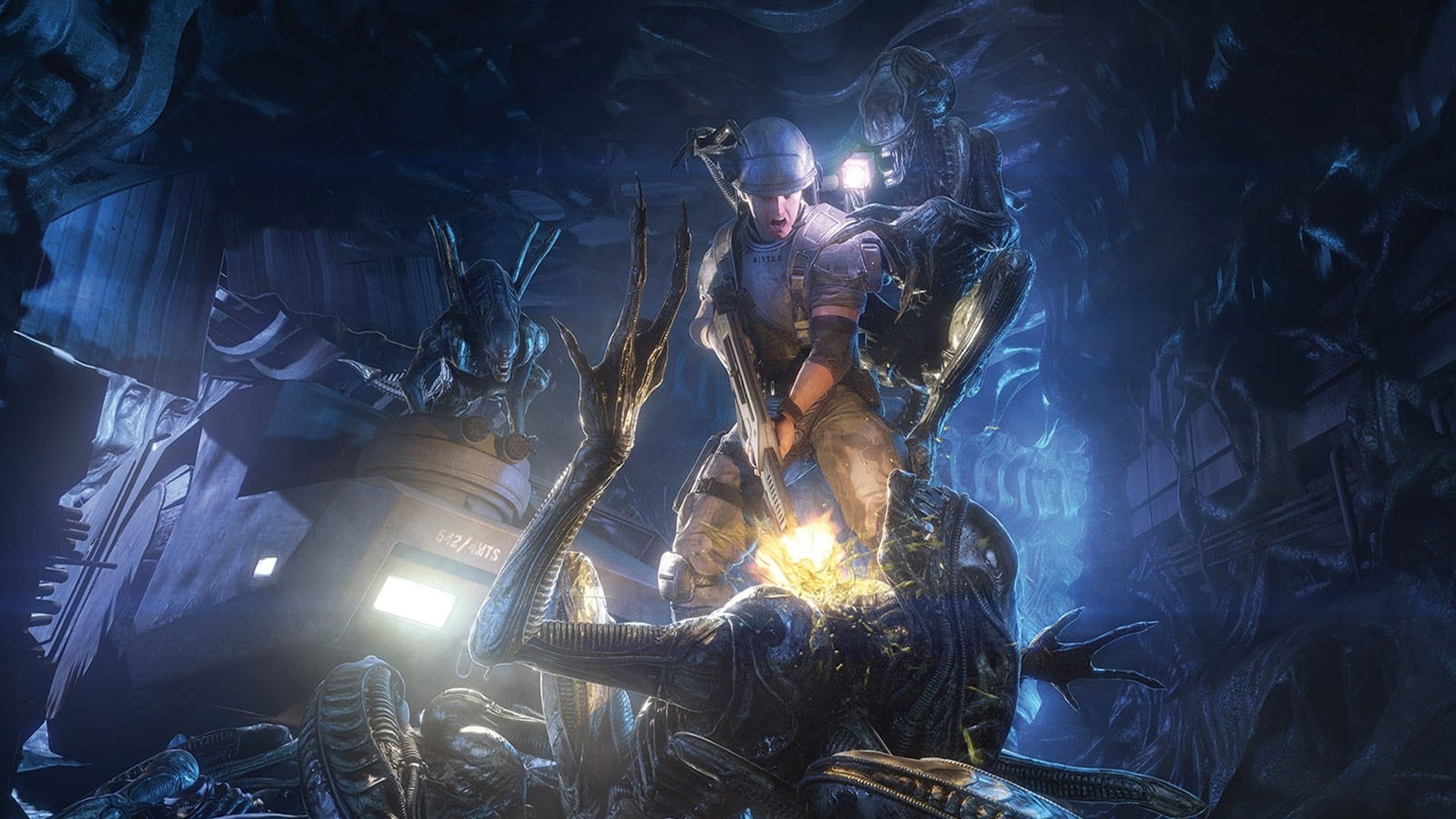 1080P, Aliens: Colonial Marines, Alien, HD Wallpaper