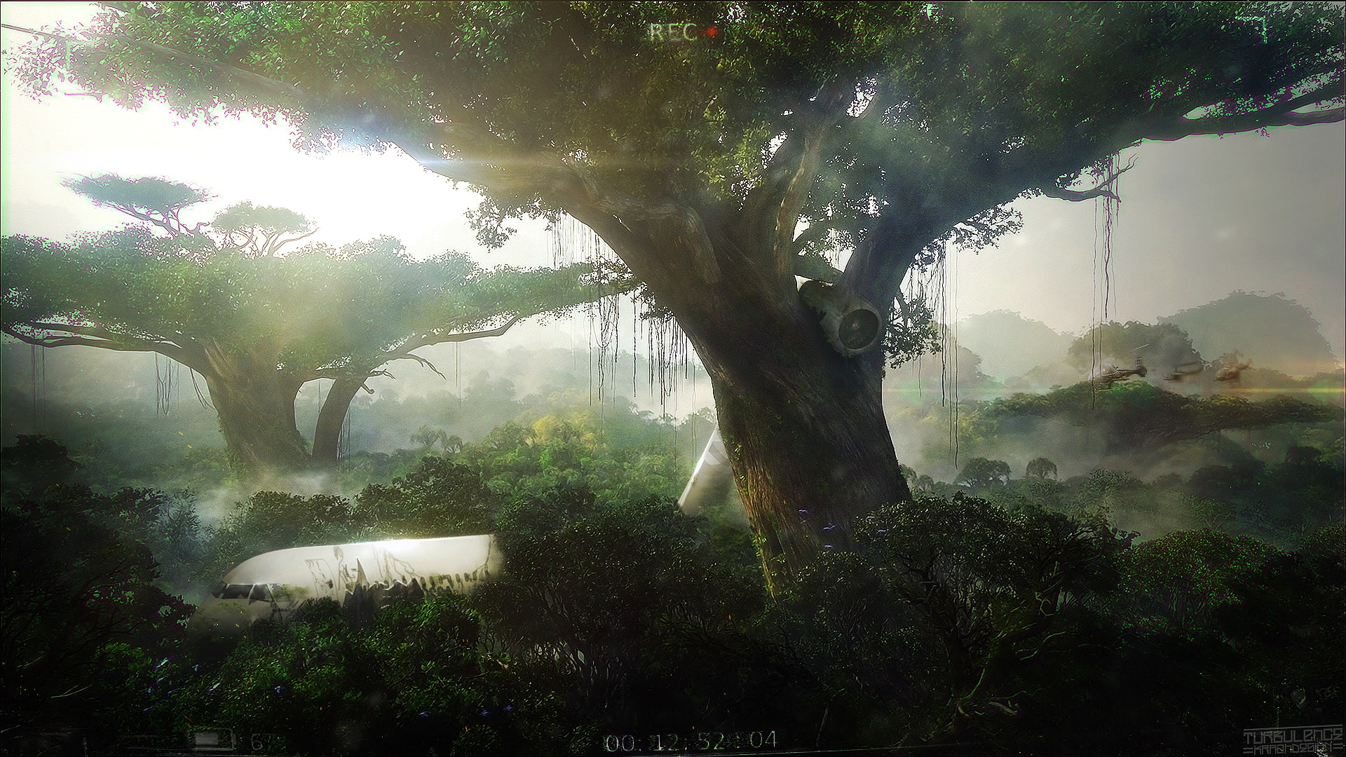 green color, turbulence, no people, nature, tranquil scene, branch, beauty in nature, plant, tree, tranquility, forest, scenics - nature, fog, sunlight, HD Wallpaper