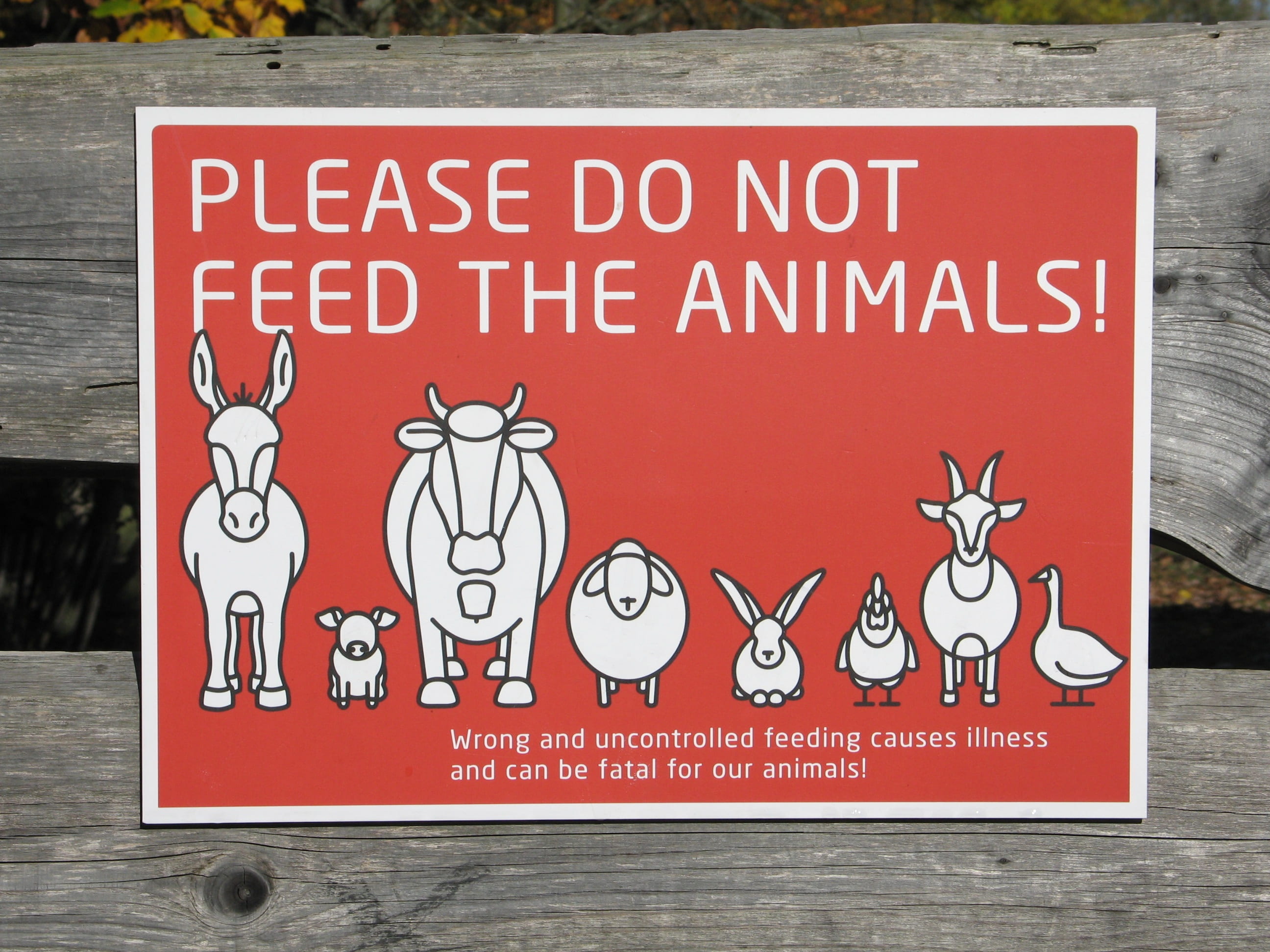 2K, creativity, information sign, donkey, mammal, please do not feel the animals, wall - building feature, goose, red, sign, information, piglet, animals, HD Wallpaper