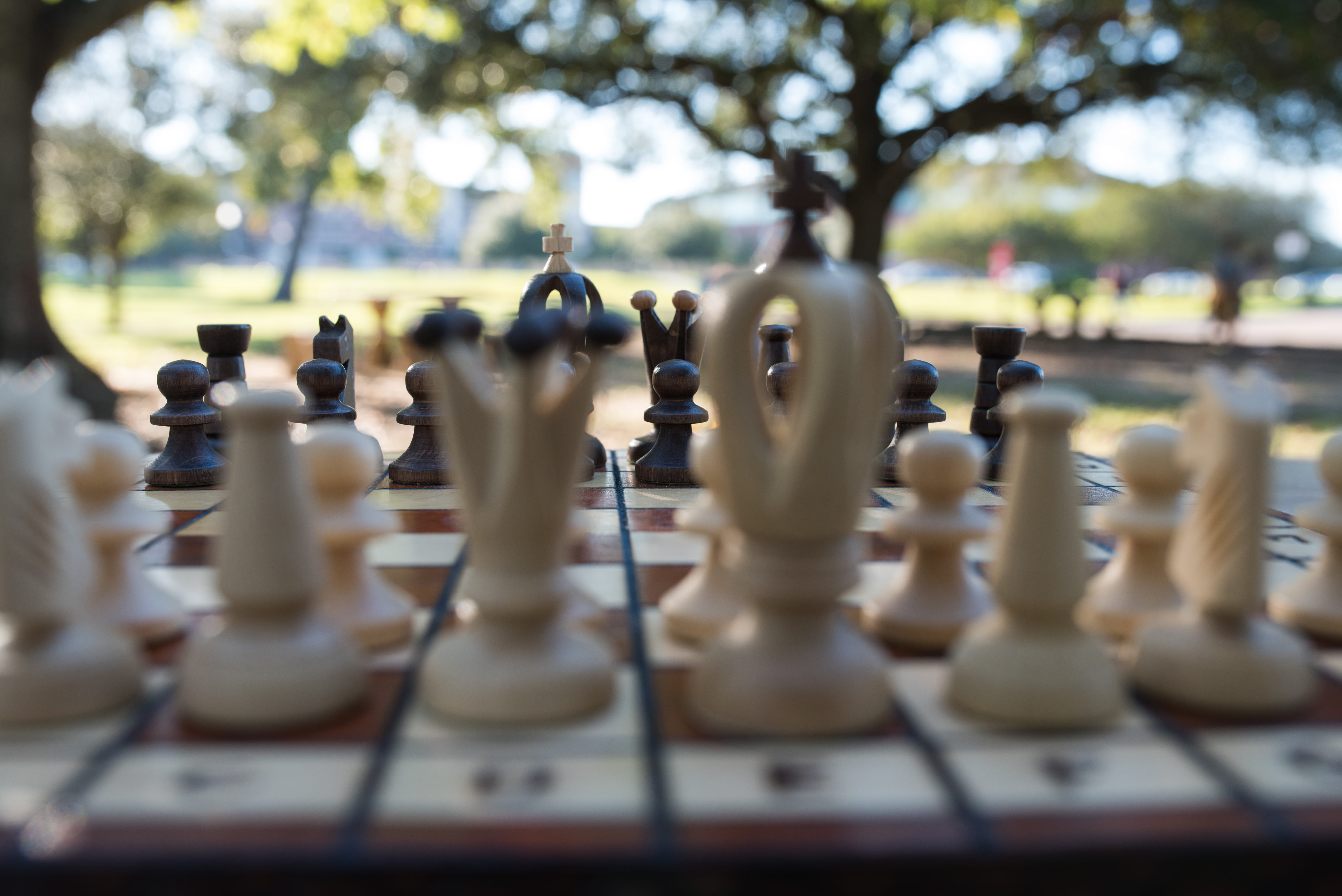 king, outdoors, strategy, nature park, arrangement, knight, board games, game, board game, park, pawn, no people, selective focus, queen - chess piece, HD Wallpaper