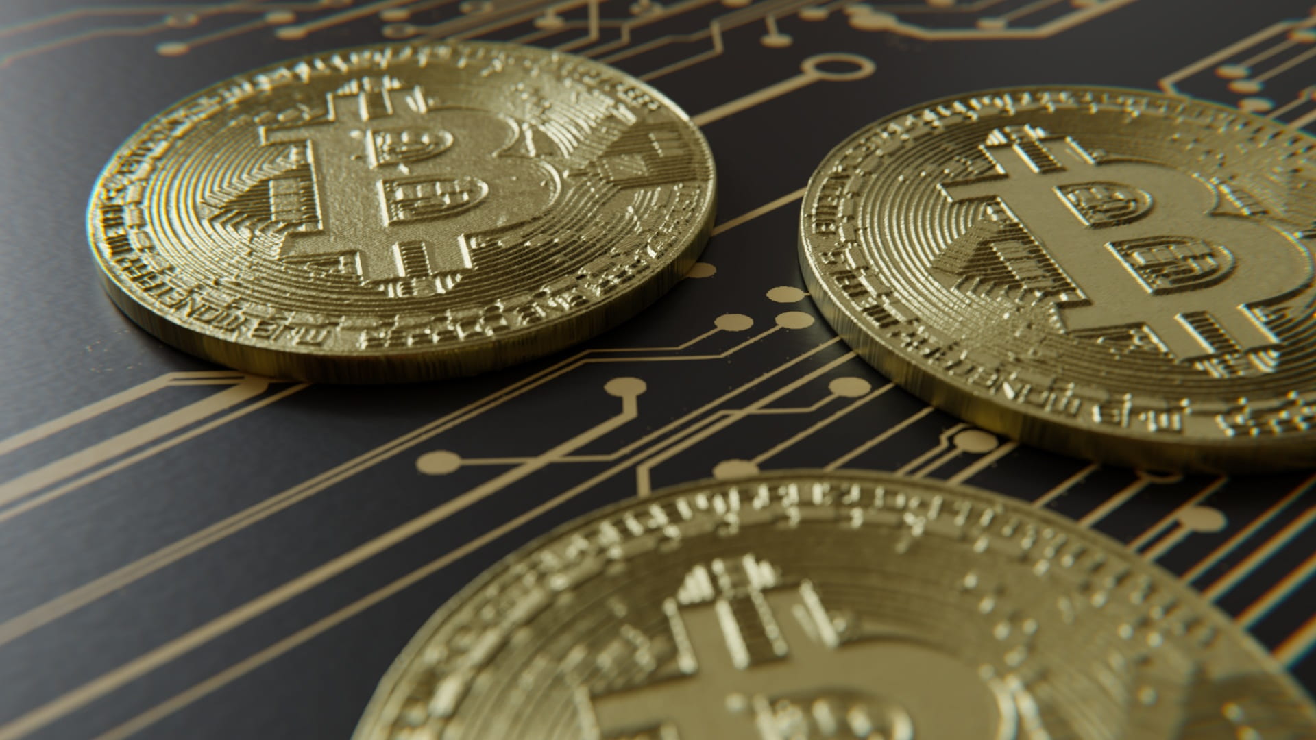 the company, no people, wealth, gold, studio shot, bitcoin, electronic money, dollar sign, currency, economy, cryptocurrency, indoors, corporate business, HD Wallpaper