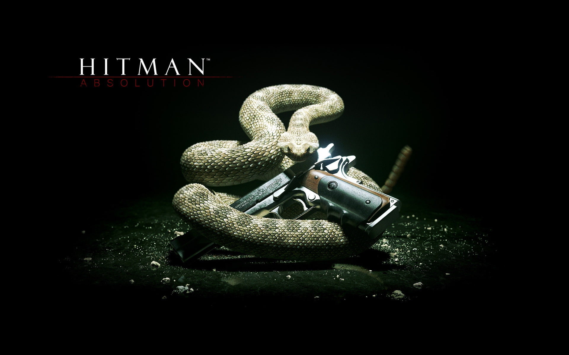 game, absolution, 1080P, hitman, HD Wallpaper