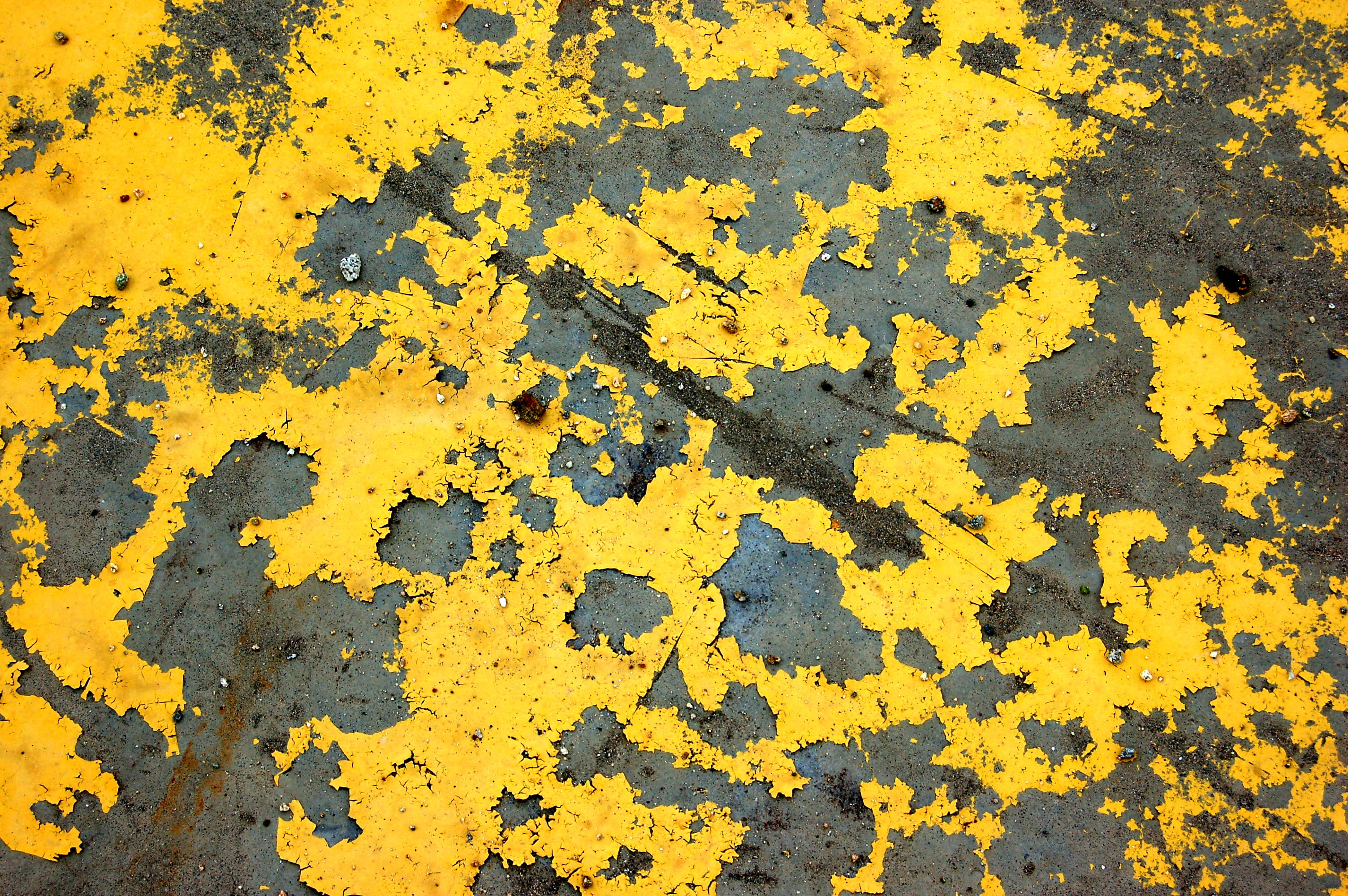 outdoors, full frame, abundance, plot, no people, texture, yellow, beauty in nature, close-up, military, military uniform, lichen, backgrounds, nature, HD Wallpaper