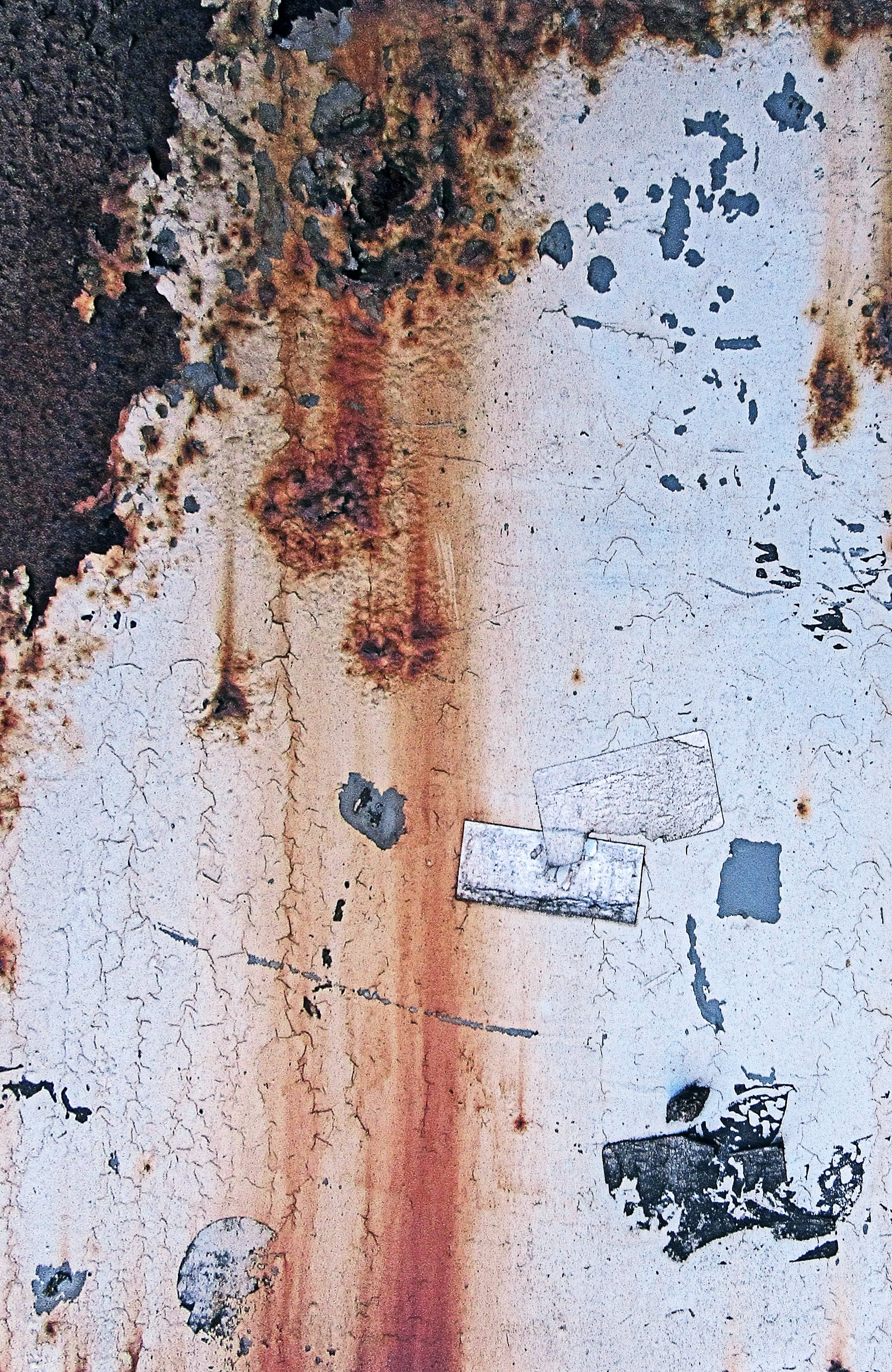 invertebrate, rust, art, close-up, drawing, old, puddle, bee, wall, insect, full frame, peeled, computer, wall - building feature, backgrounds, ruined, Phone HD Wallpaper