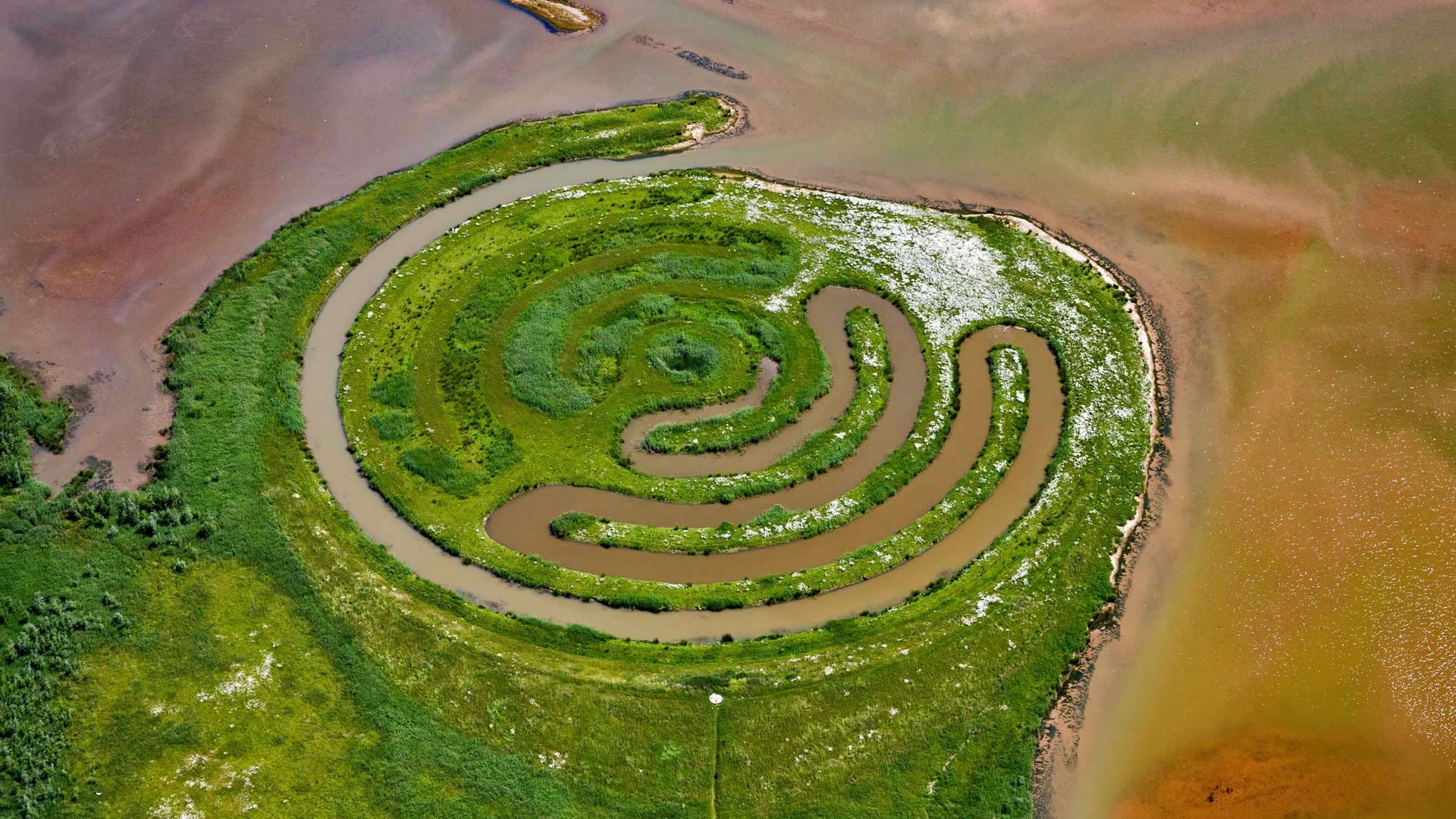 nature, lake, aerial view, Netherlands, trees, grass, landscape, 1080P, water, field, circle, plants, HD Wallpaper