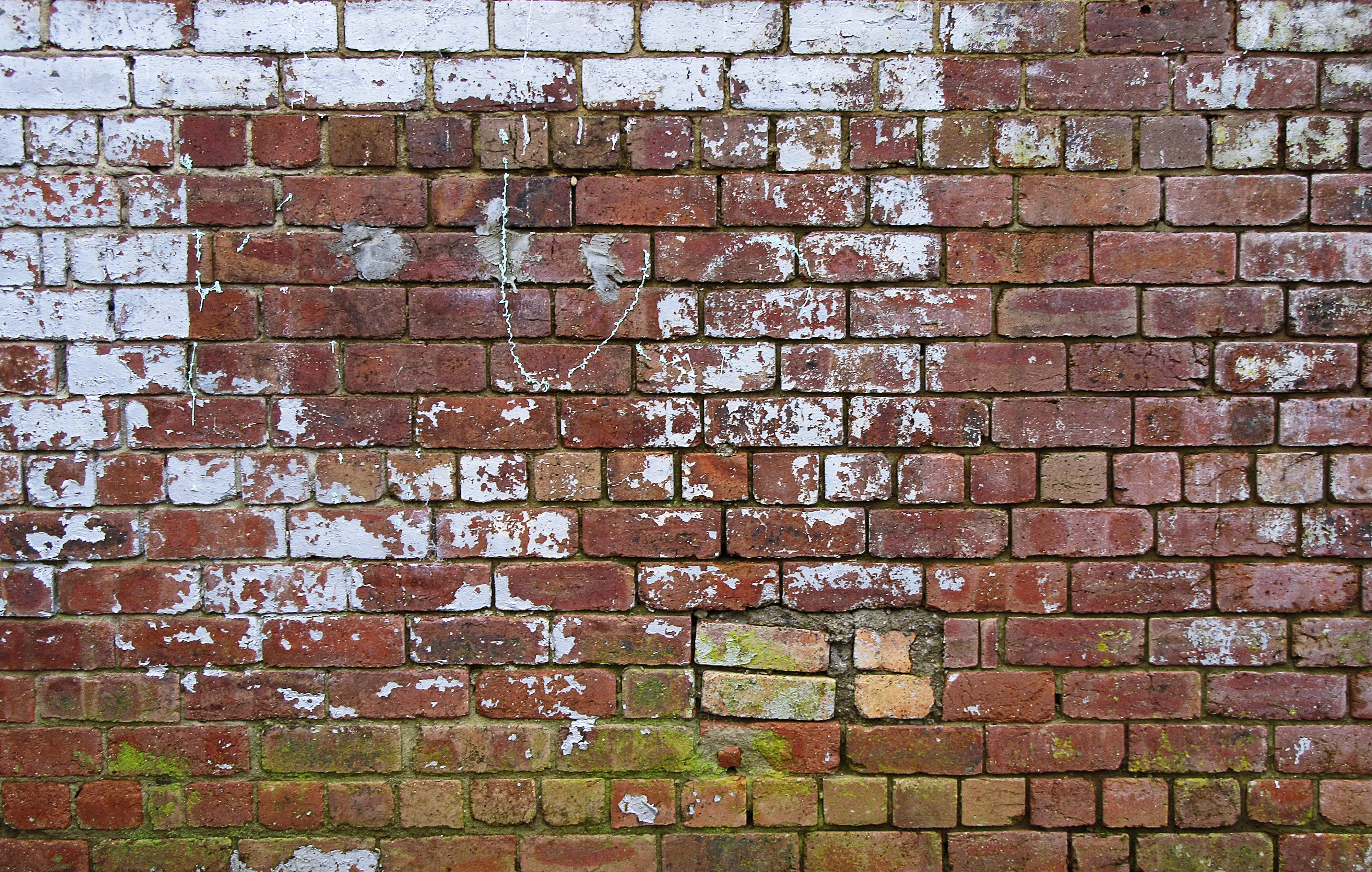 brick, wall, red, built structure, brick wall, art, graffiti, rust, repetition, mural, architecture, stone wall, dog, mammal, stork, painting, old, textured, HD Wallpaper