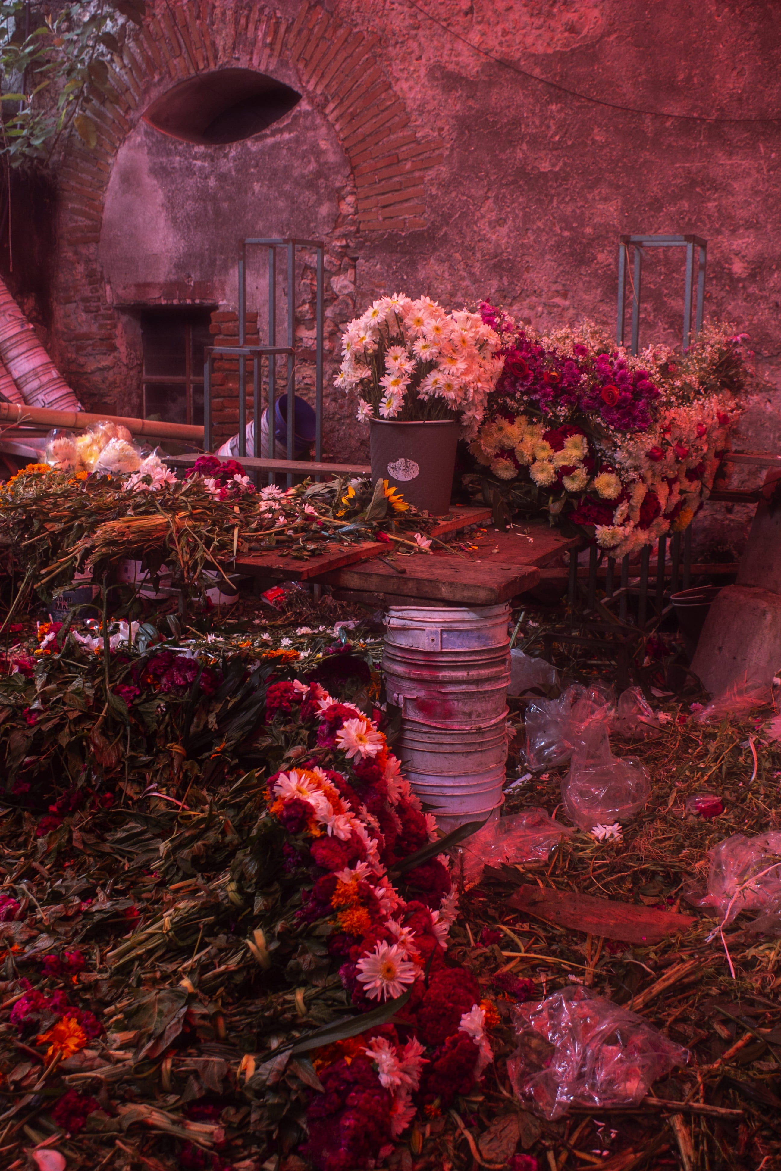 abundance, purchase, architecture, growth, building, nature, employee, plant, no people, pink color, flowers, shop, flowering plant, built structure, florist, Phone HD Wallpaper