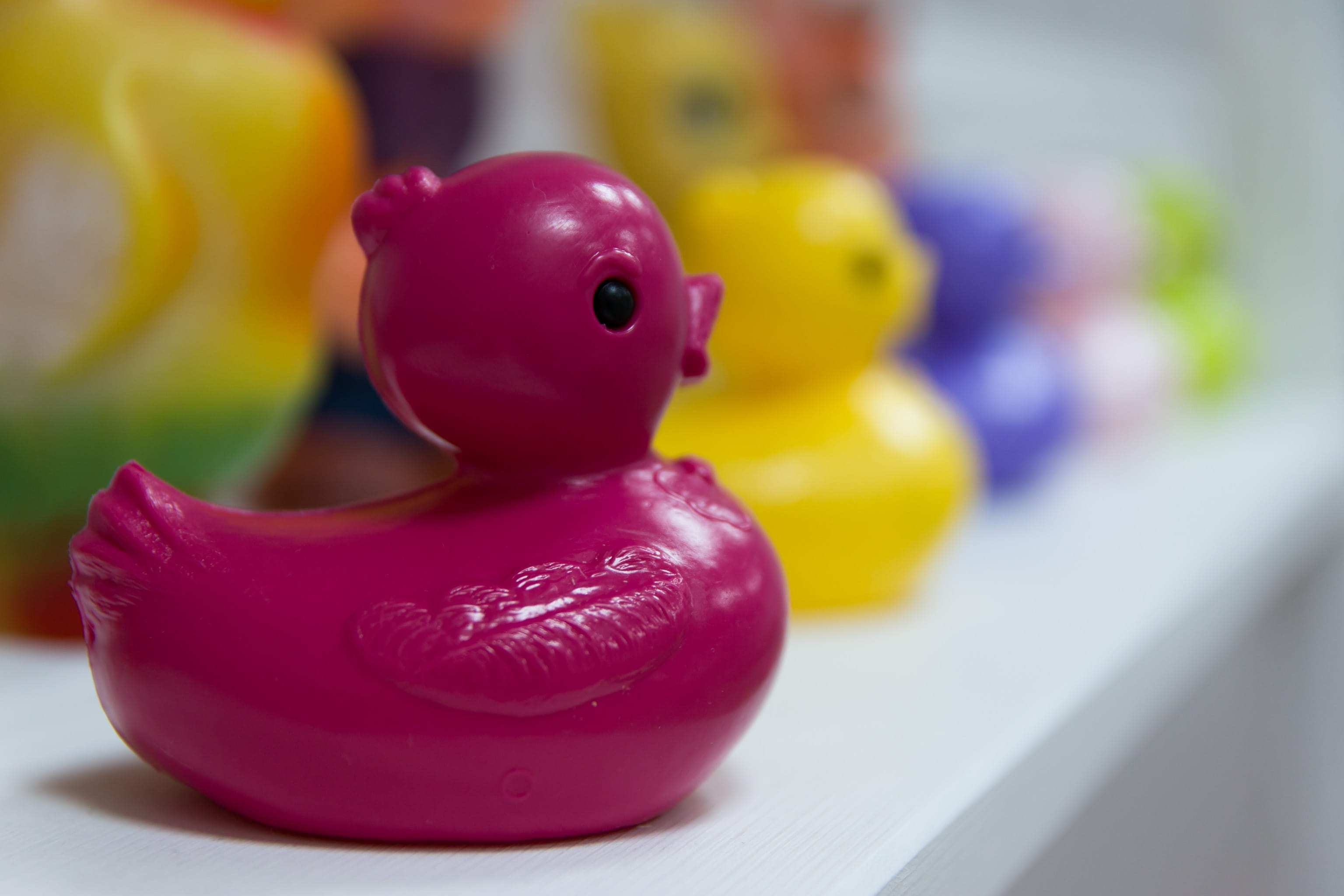 bird, yellow, close-up, indoors, 2K, focus on foreground, red, animal, table, group of objects, regiment, toy, multi colored, animal themes, still life, HD Wallpaper