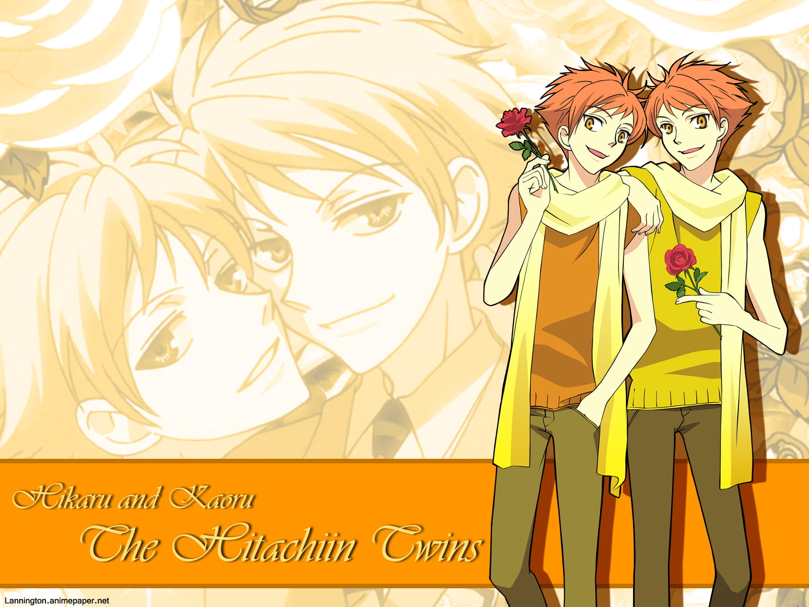 720P, host, club, high, school, ouran, HD Wallpaper