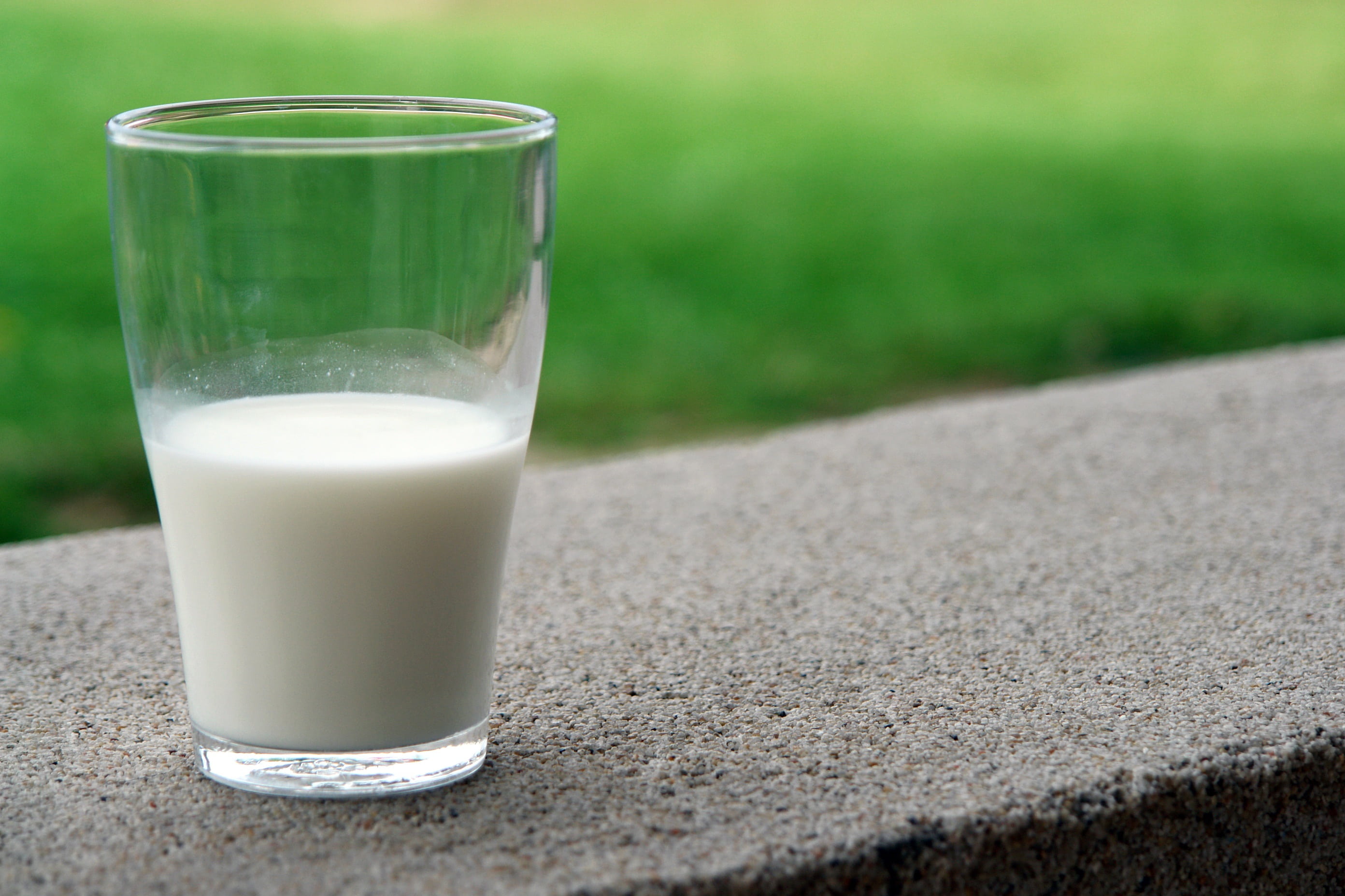yummy, raw, natural, healthy, outdoors, drinking glass, ingredient, drinking, calcium, white, milk product, tasty, clear, focus, fat, fresh, healthy lifestyle, HD Wallpaper