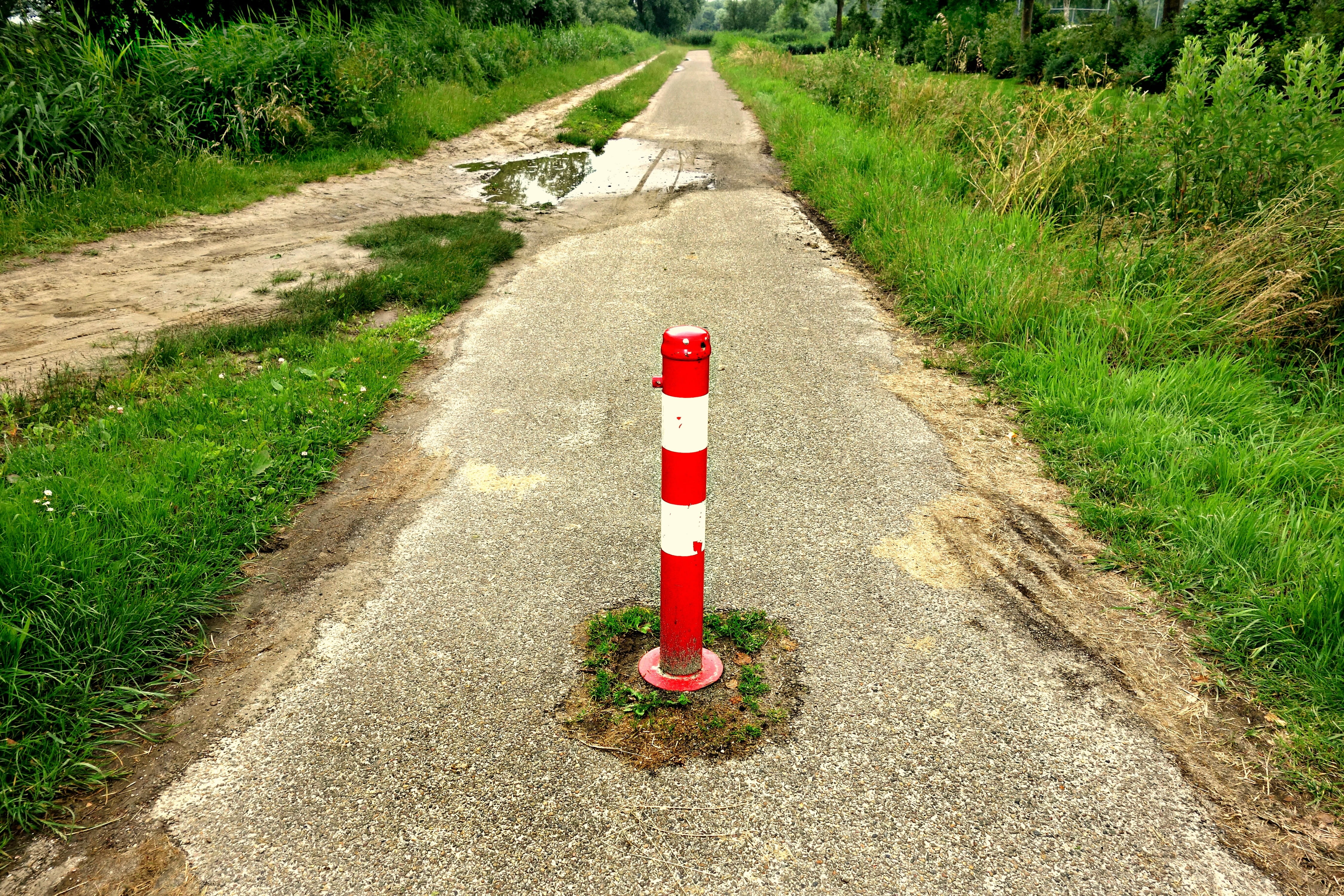 red-white safety barrier, day, rural scene, outdoors, asphalt, path, post, grass, diminishing perspective, no entry post, white, green color, nature, footpath, HD Wallpaper