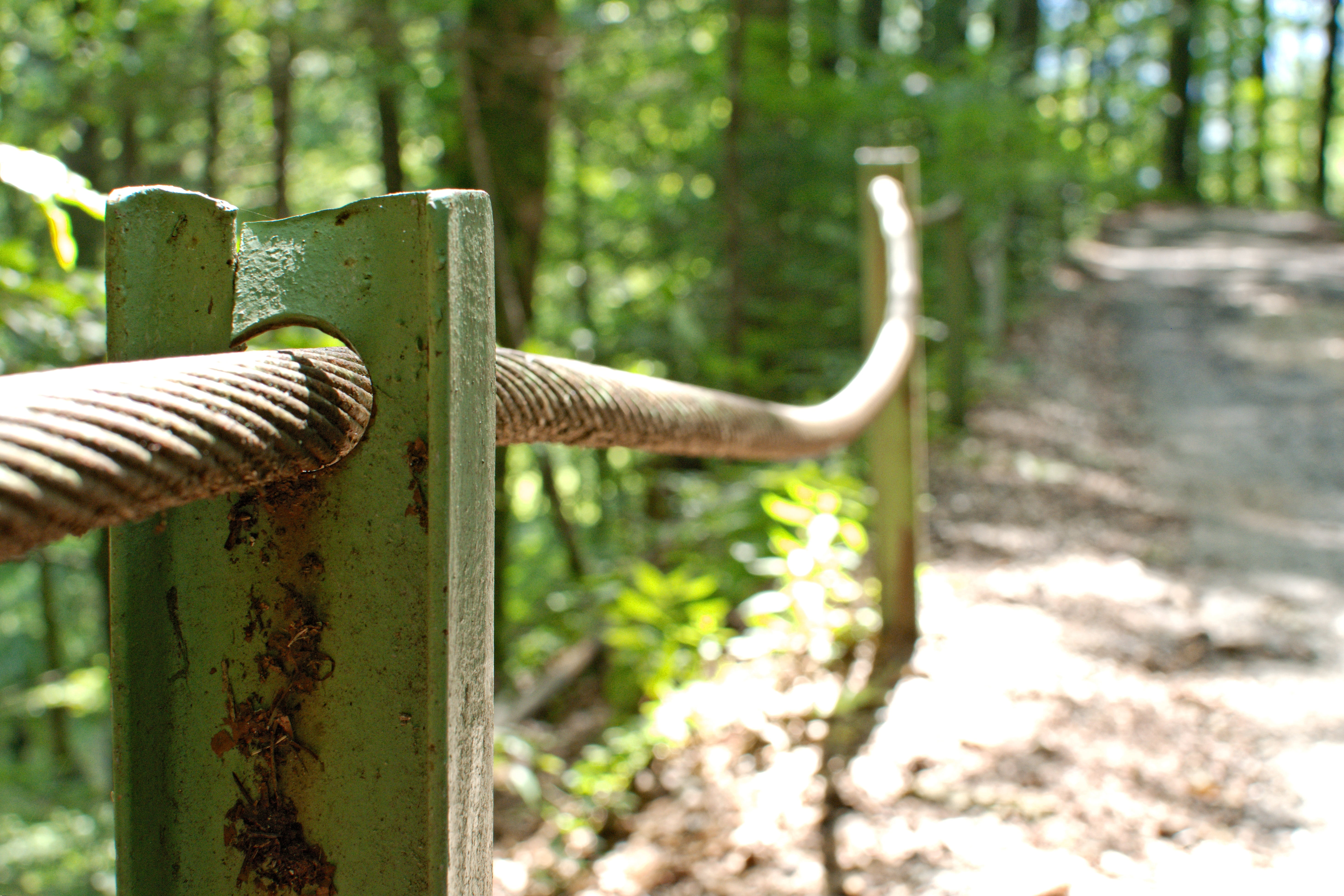 no people, plant, stainless, focus on foreground, wire, rusted, green color, wooden post, railing, nature, iron, containing, wire rope, security, old, 5K, HD Wallpaper