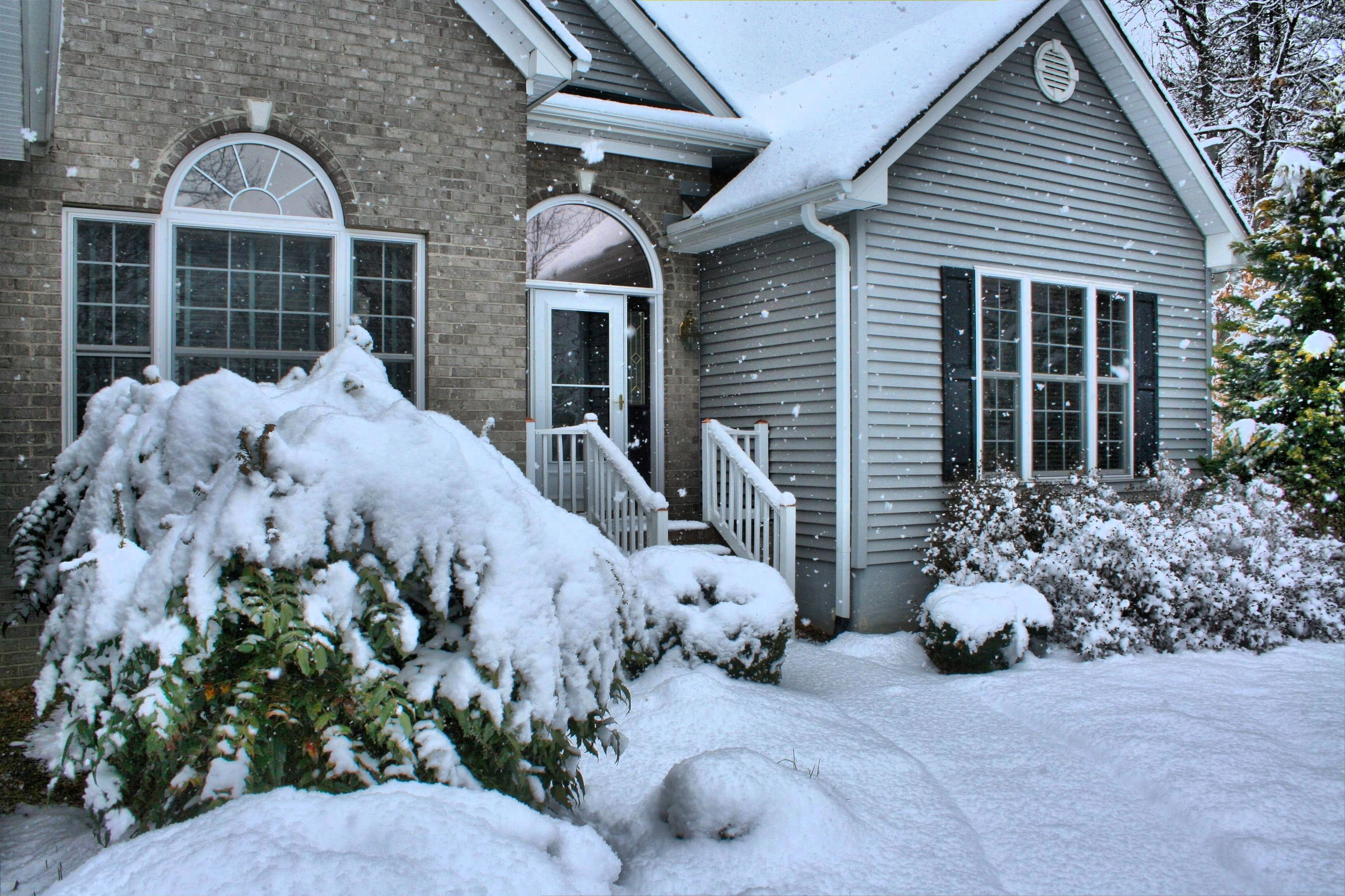 cold, plants, architecture, snowy, Snowfall, nature, white color, frosty, Front, Door, Winter, building, House, outdoors, tree, extreme weather, residential Building, HD Wallpaper