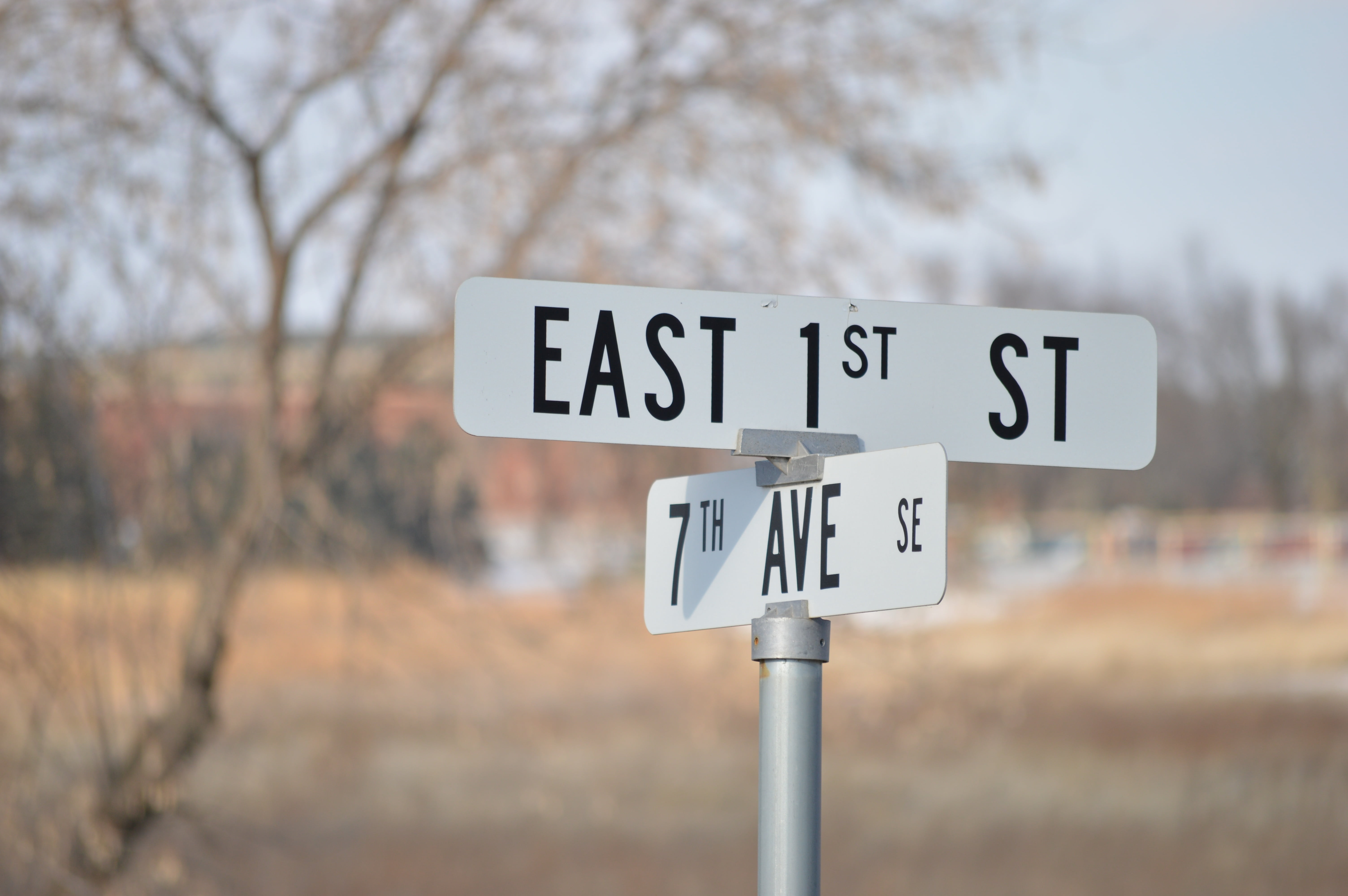 tree, st, signage, east, road signs, western script, no people, information, navigation, summer, day, road, destination, number, journey, outdoor, signpost, HD Wallpaper
