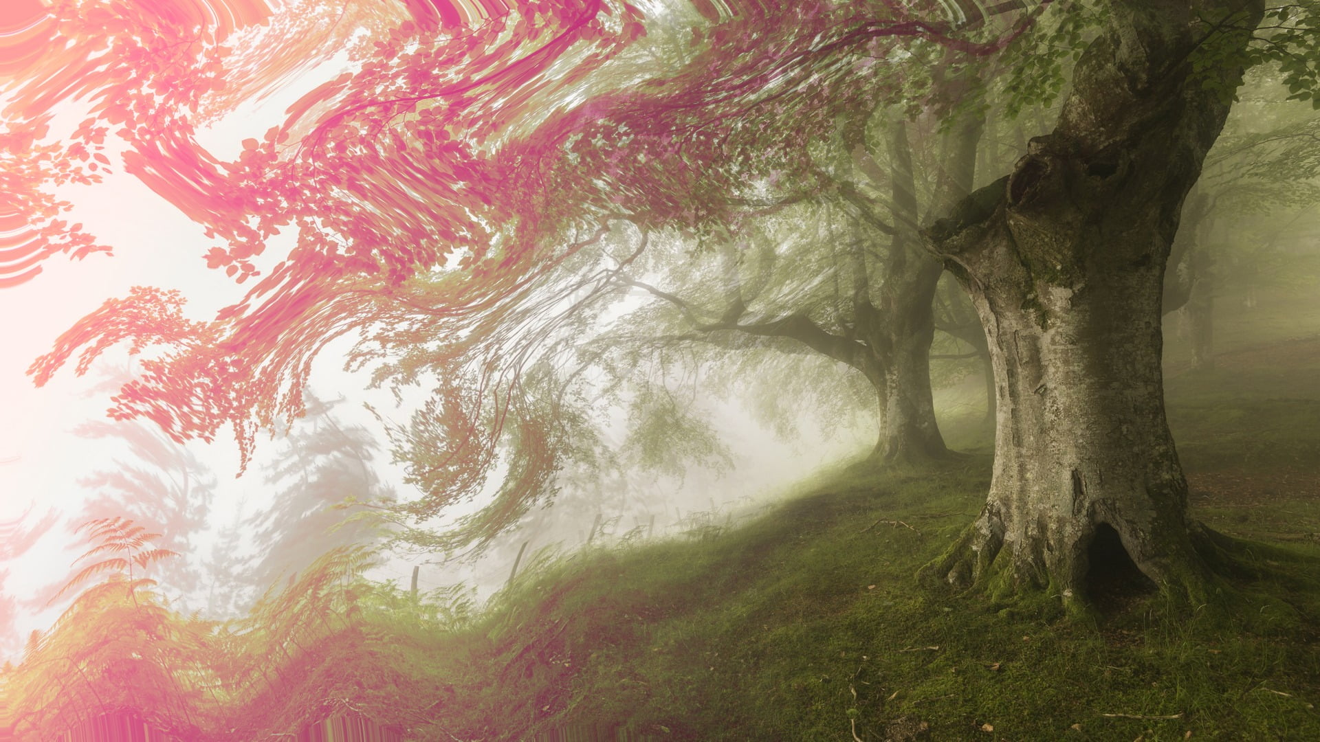 creativity, forest, tranquility, pattern, nature, pink, green color, tranquil scene, growth, painting, no people, day, beauty in nature, outdoors, psychedelic, HD Wallpaper