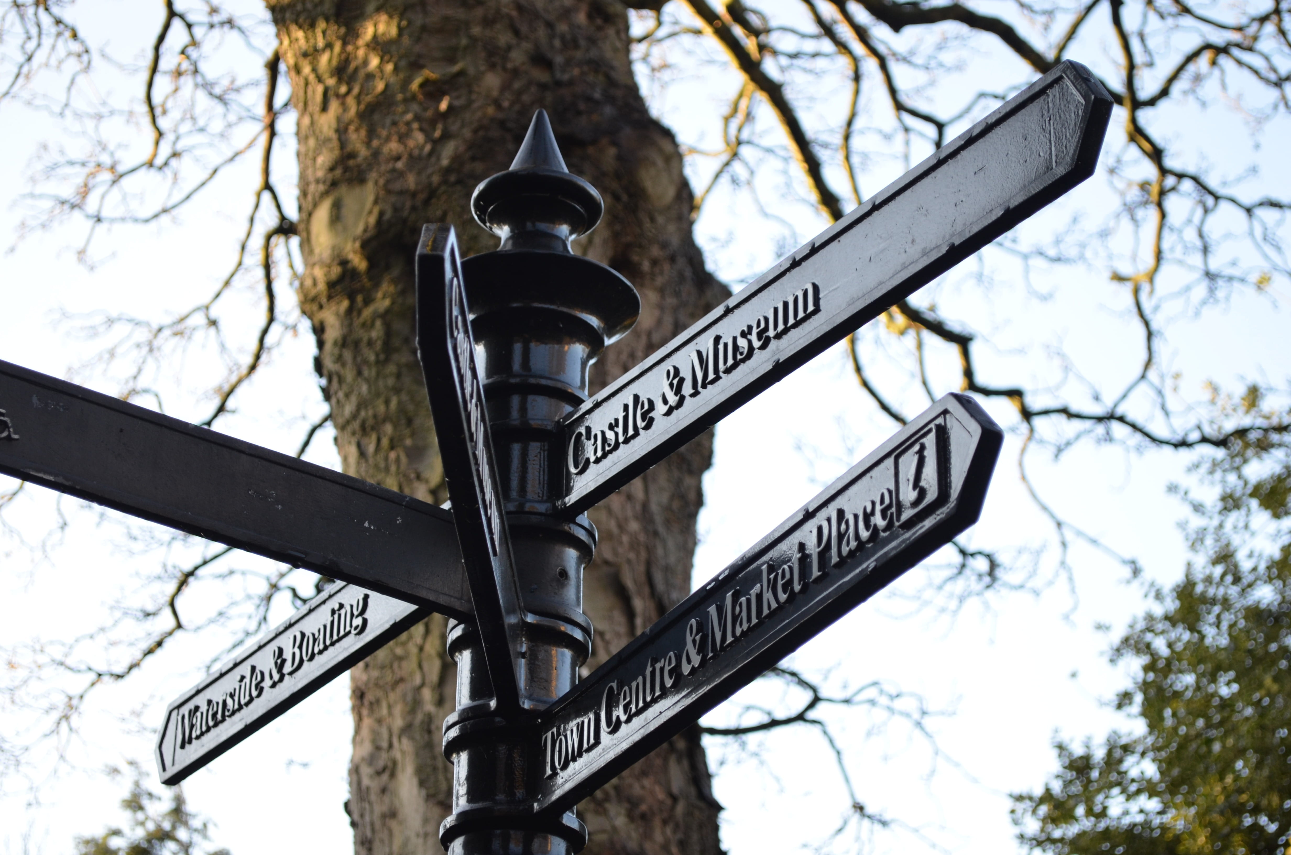 bare tree, day, guidepost, Direction, symbol, guide, signage, way, focus on foreground, Directional, sign, information sign, road, arrow, western script, HD Wallpaper