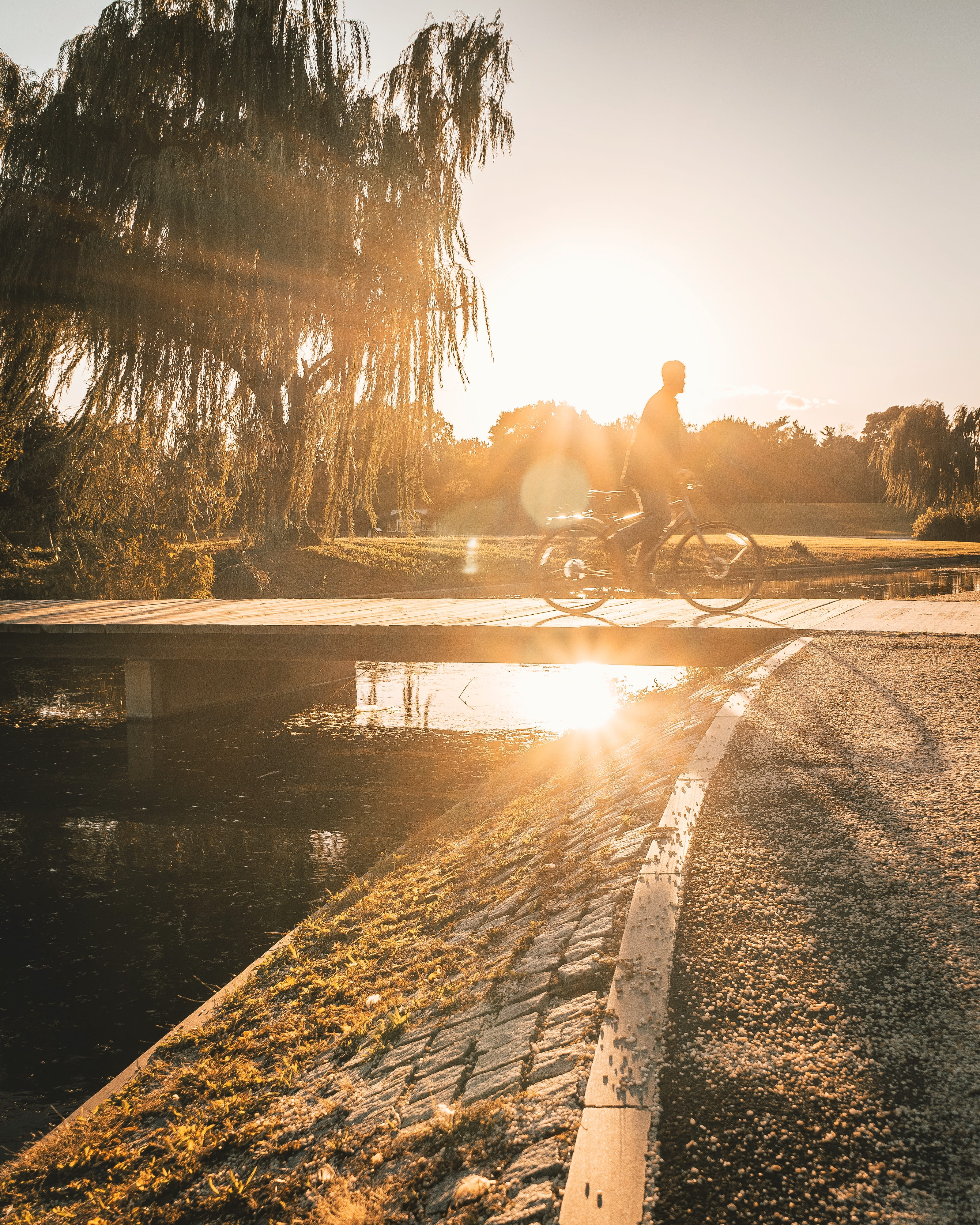riding, bike, asphalt, lifestyles, sunset, human, sun, flare, lens flare, full length, plant, men, vehicle, one person, path, reflection, walkway, 4K, Phone HD Wallpaper