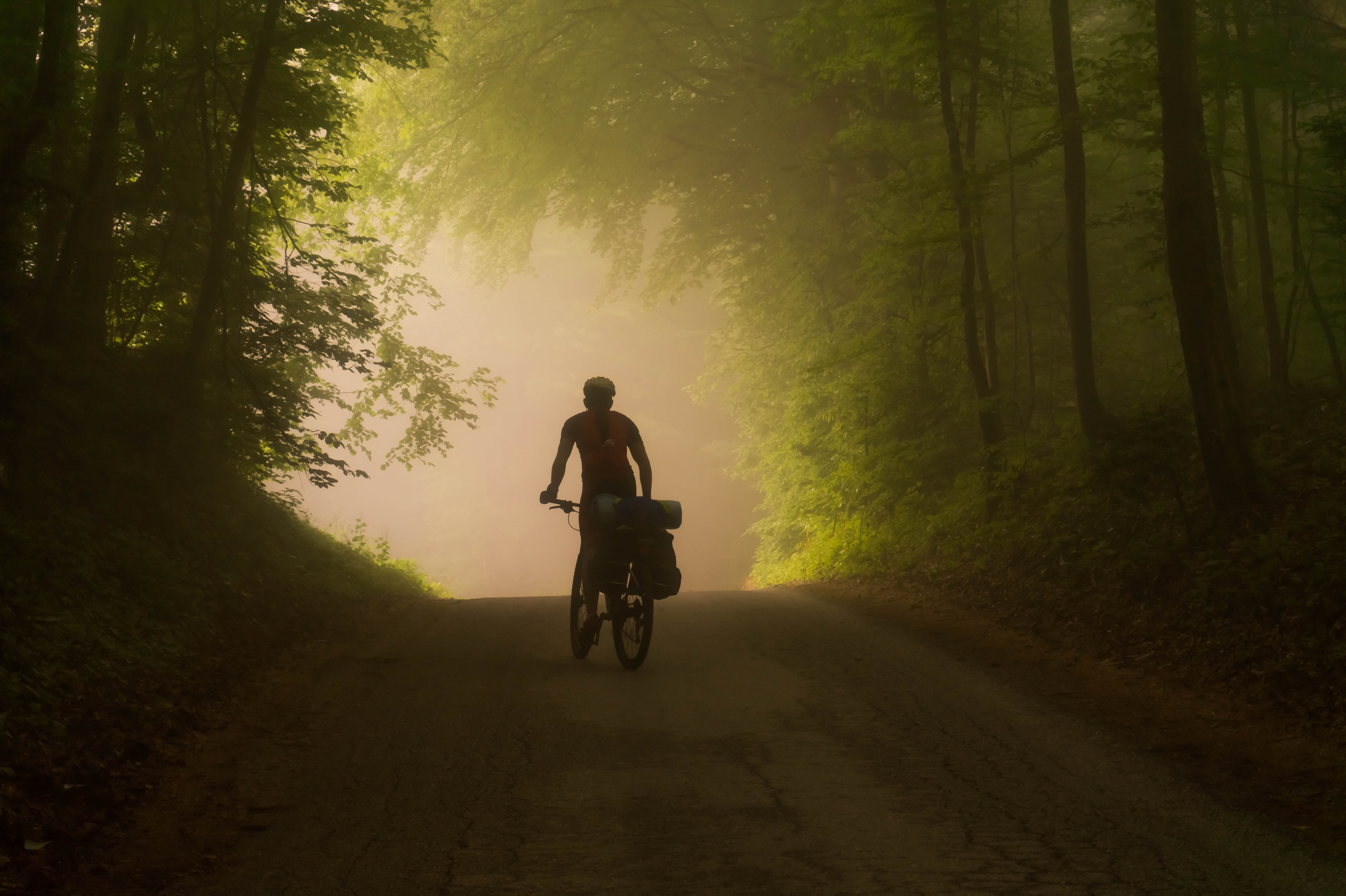 wheel, full length, seated, biker, bicycle, one person, transportation, road, tree, plant, man, mode of transportation, outdoors, land, person, near, adult, HD Wallpaper
