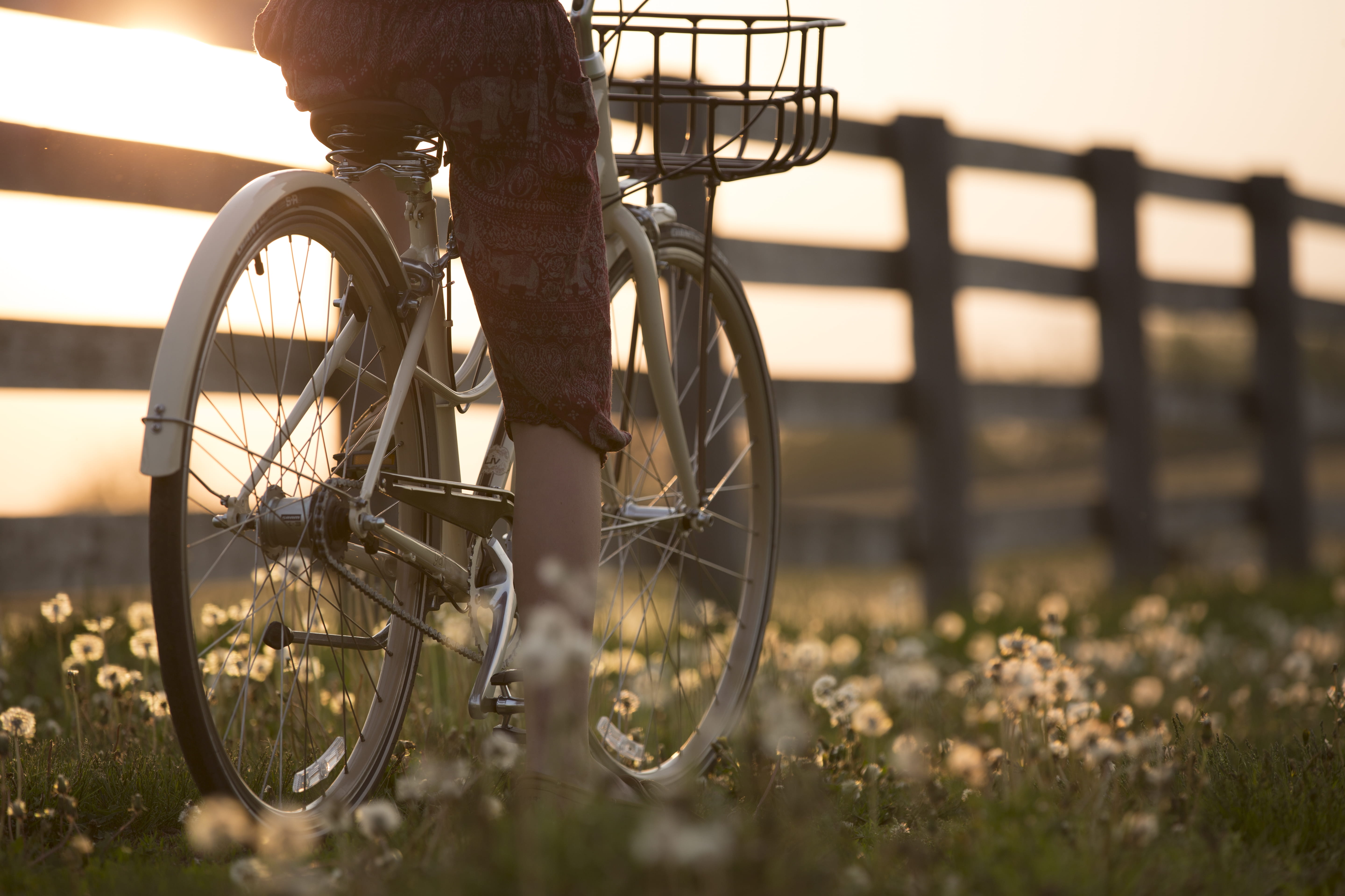 sunlight, golden hour, mode of transportation, tire, focus on foreground, no people, outdoors, landscape, city, biking, stationary, travel, metal, sunset, HD Wallpaper