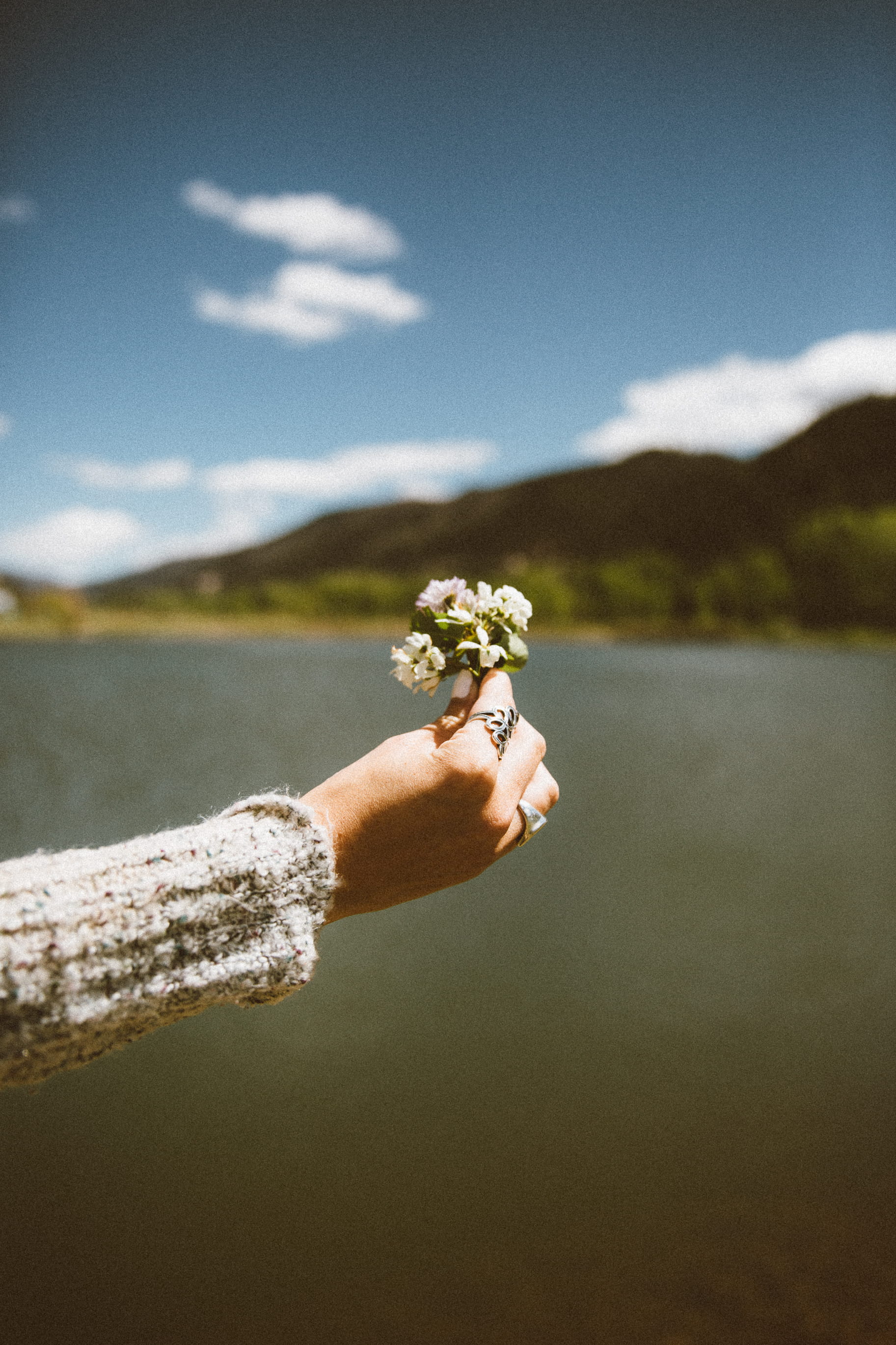 outdoors, bunch, person, daytime, freshness, photography, woman, body, day, human Hand, flowering plant, sky, hand, real people, flower, petaled, ring, Phone HD Wallpaper