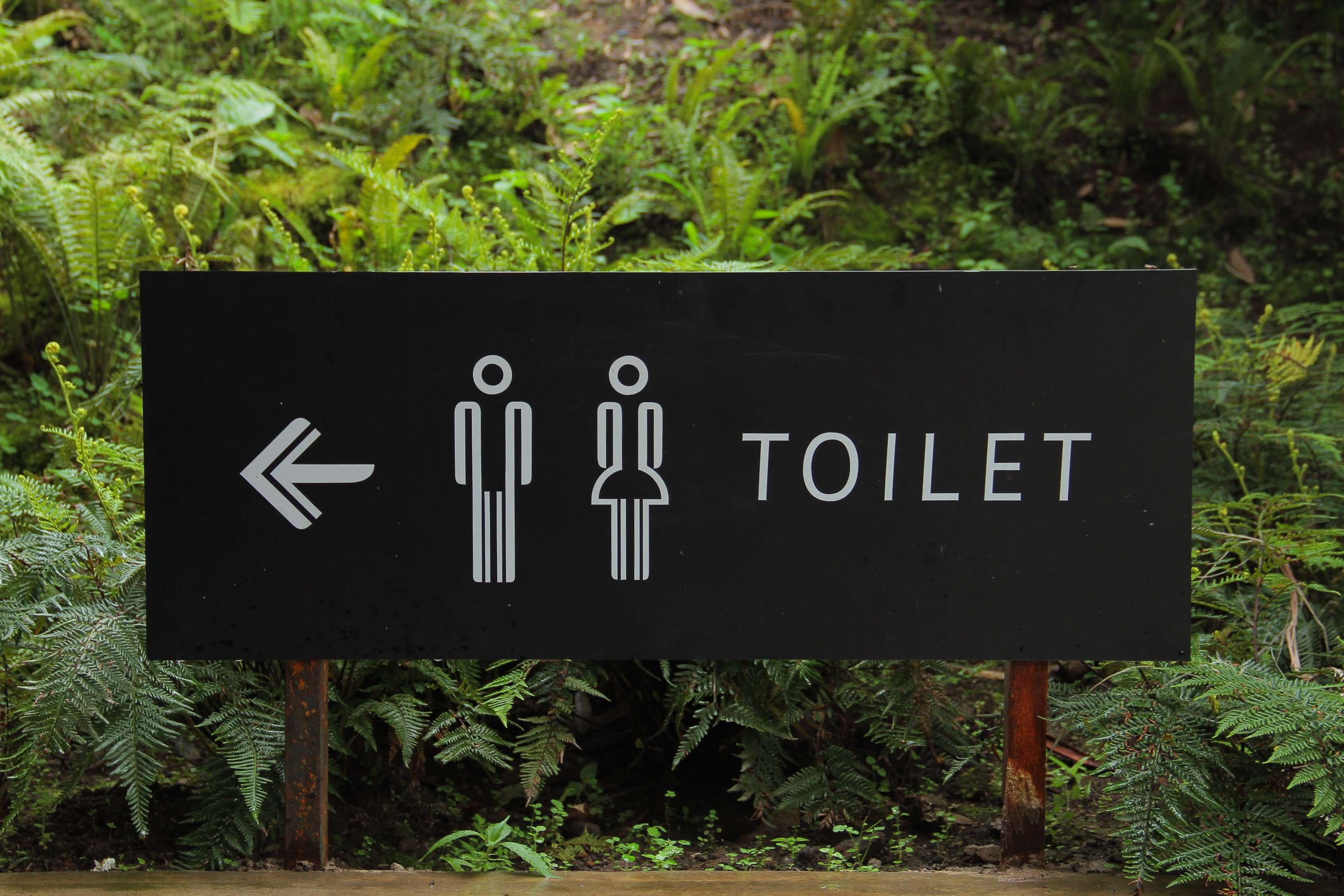 directions, day, toilets, plant, no people, tree, 2K, leaf, guidance, arrow symbol, sign, green color, information, text, message, public building, gender, HD Wallpaper