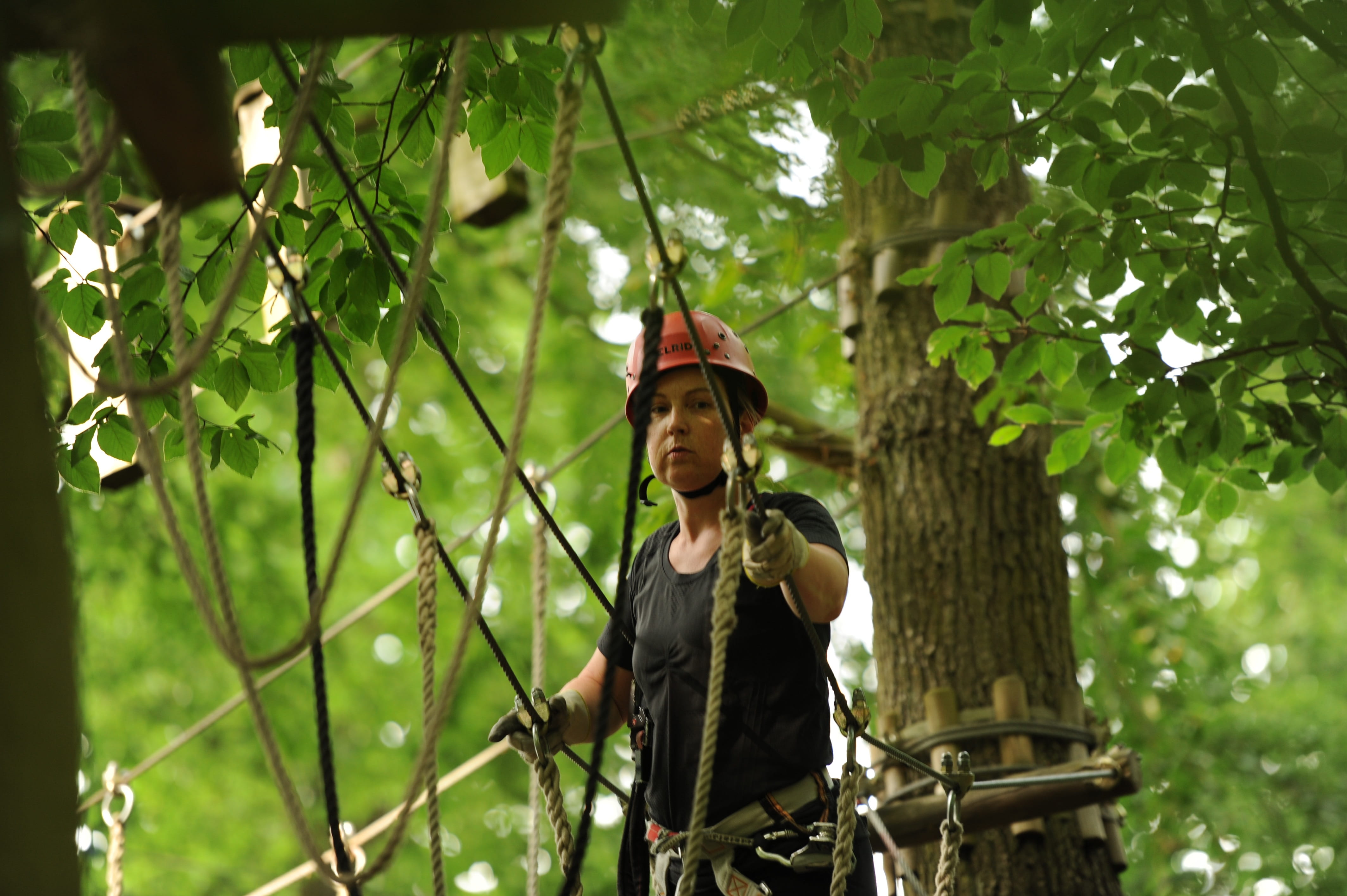 leisure activity, casual clothing, young adult, plant, climbing park, courage, front view, high ropes course, day, standing, crown, nature, overcoming, HD Wallpaper