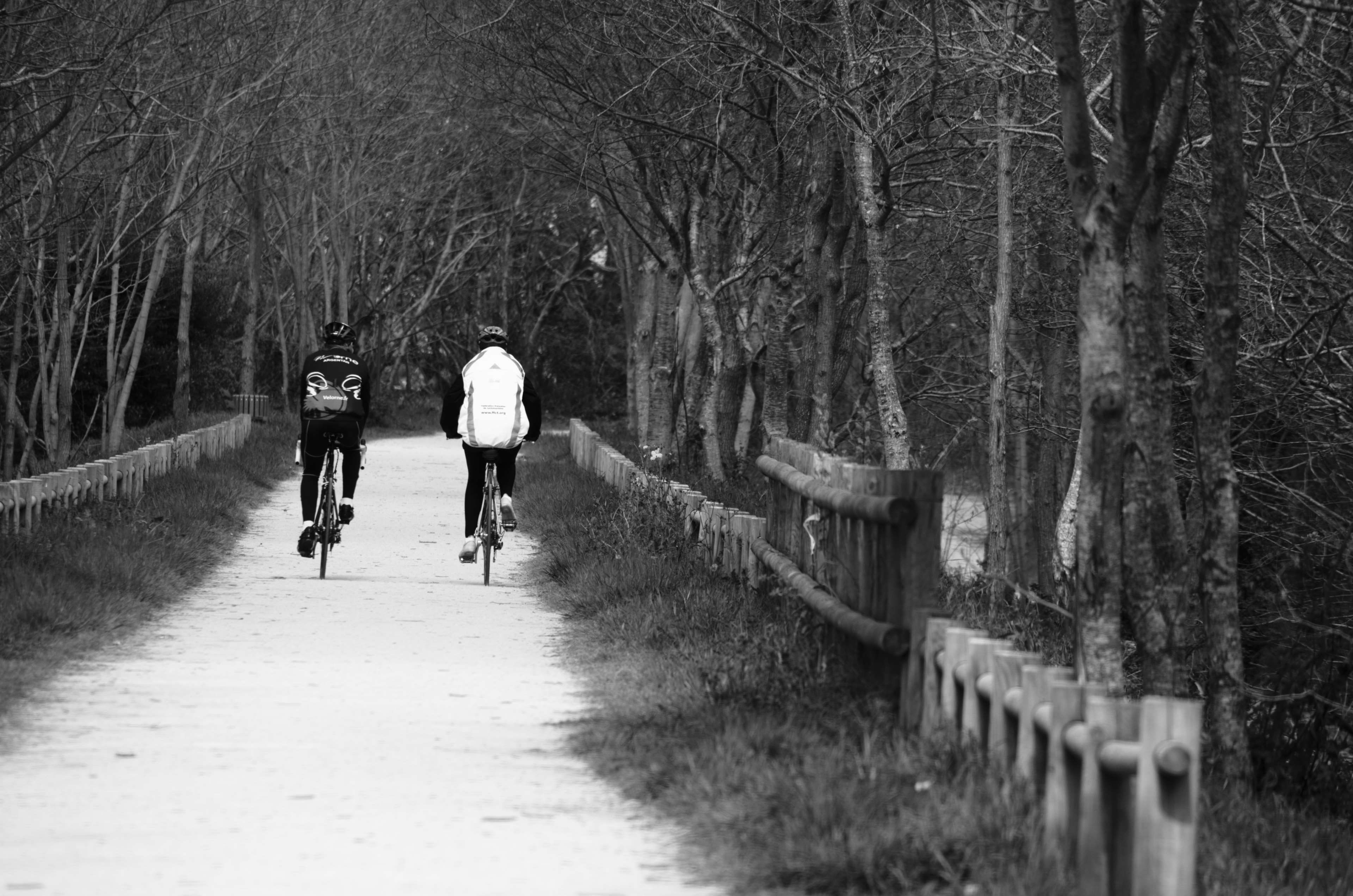 full length, women, cyclistes, outdoors, bare tree, the way forward, pdaler, togetherness, rear view, loisir, personnages, direction, walking, real people, HD Wallpaper