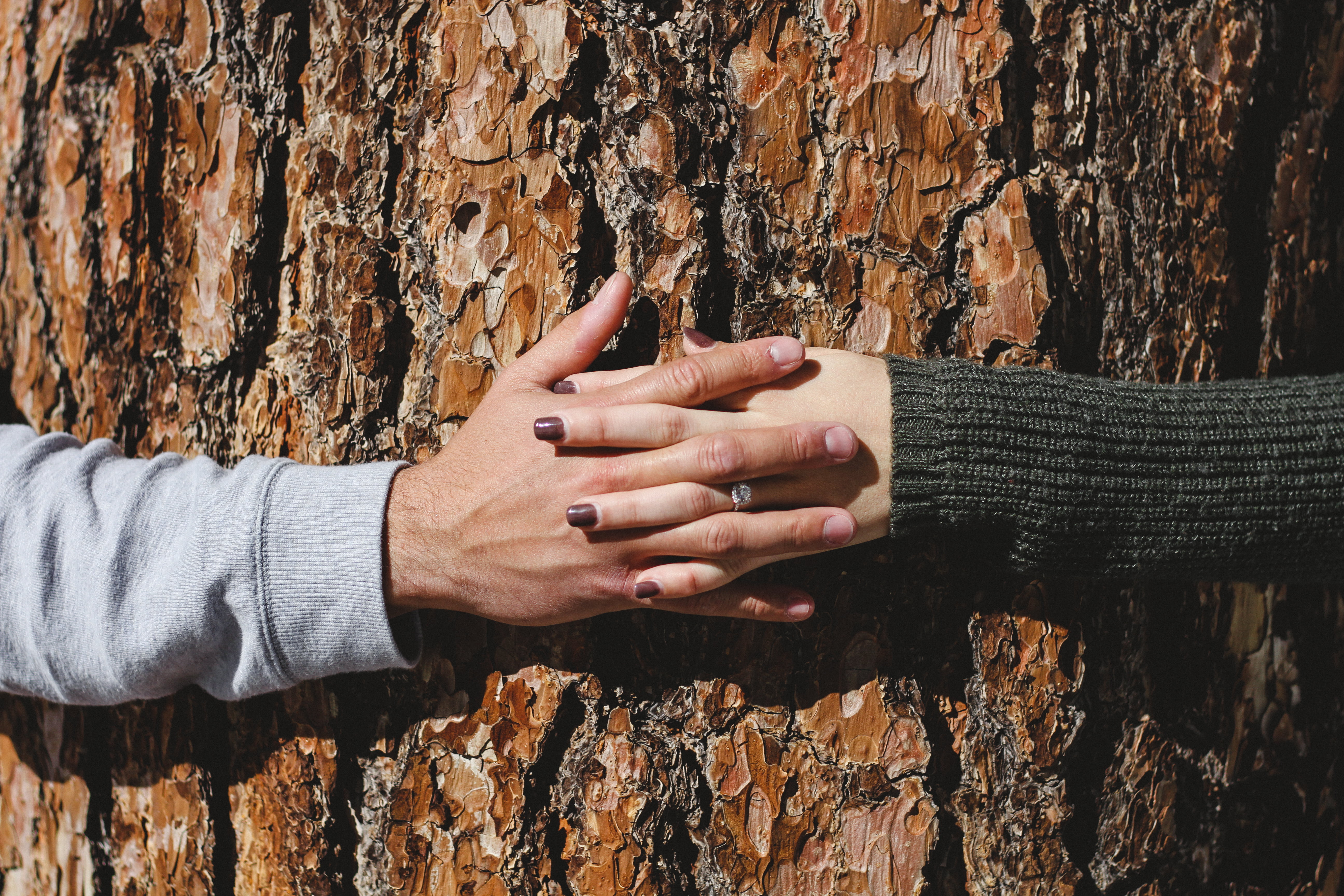 rough, prickly, finger, day, person, men, wood, blur, body part, people, human finger, adult, woman, daylight, lifestyles, embrace, wood - material, log, HD Wallpaper