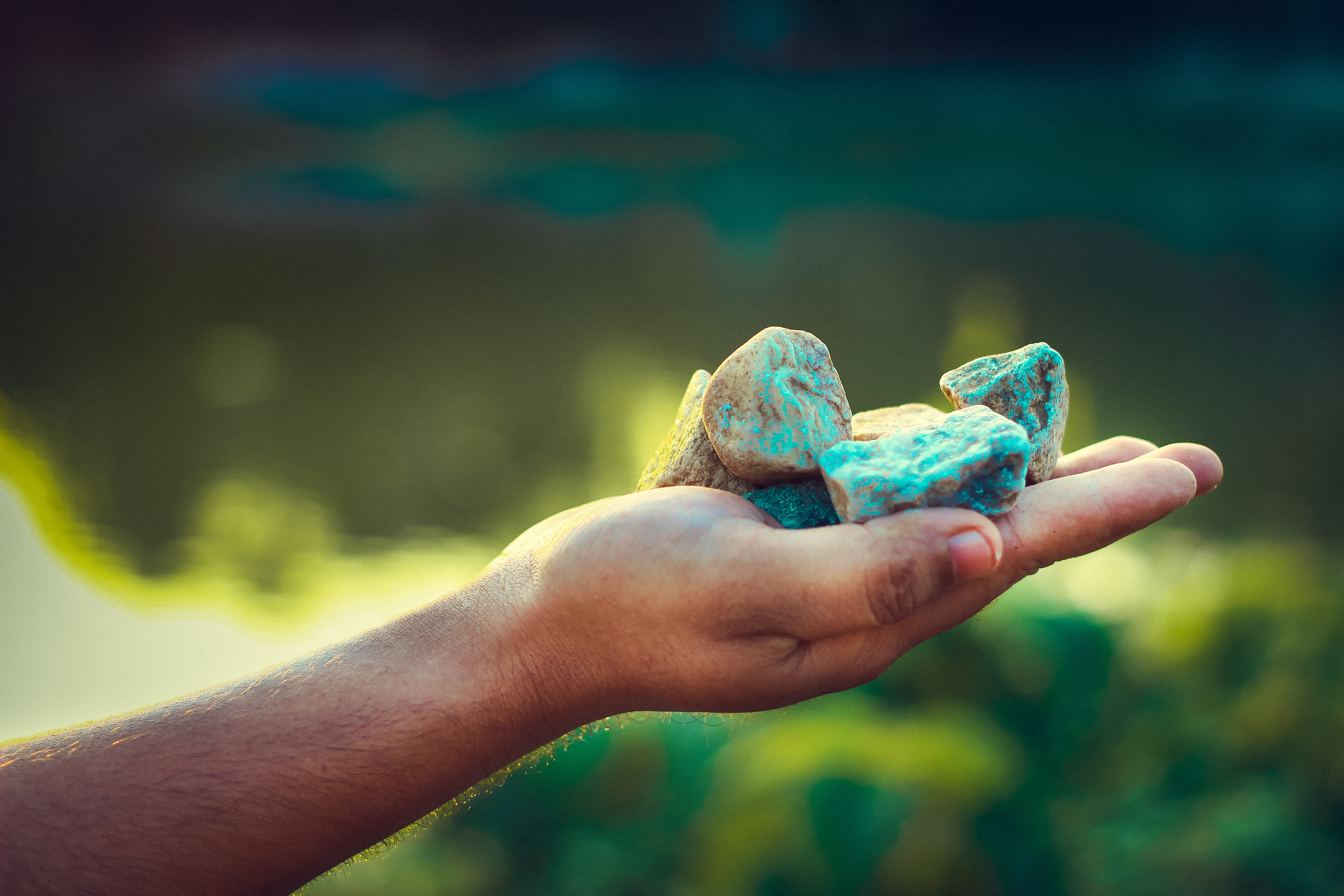 outdoor, sea, male, hand, strength, day, hold, rock, animals in the wild, blue, men, one person, animal wildlife, green, finger, rough, nature, human body part, HD Wallpaper