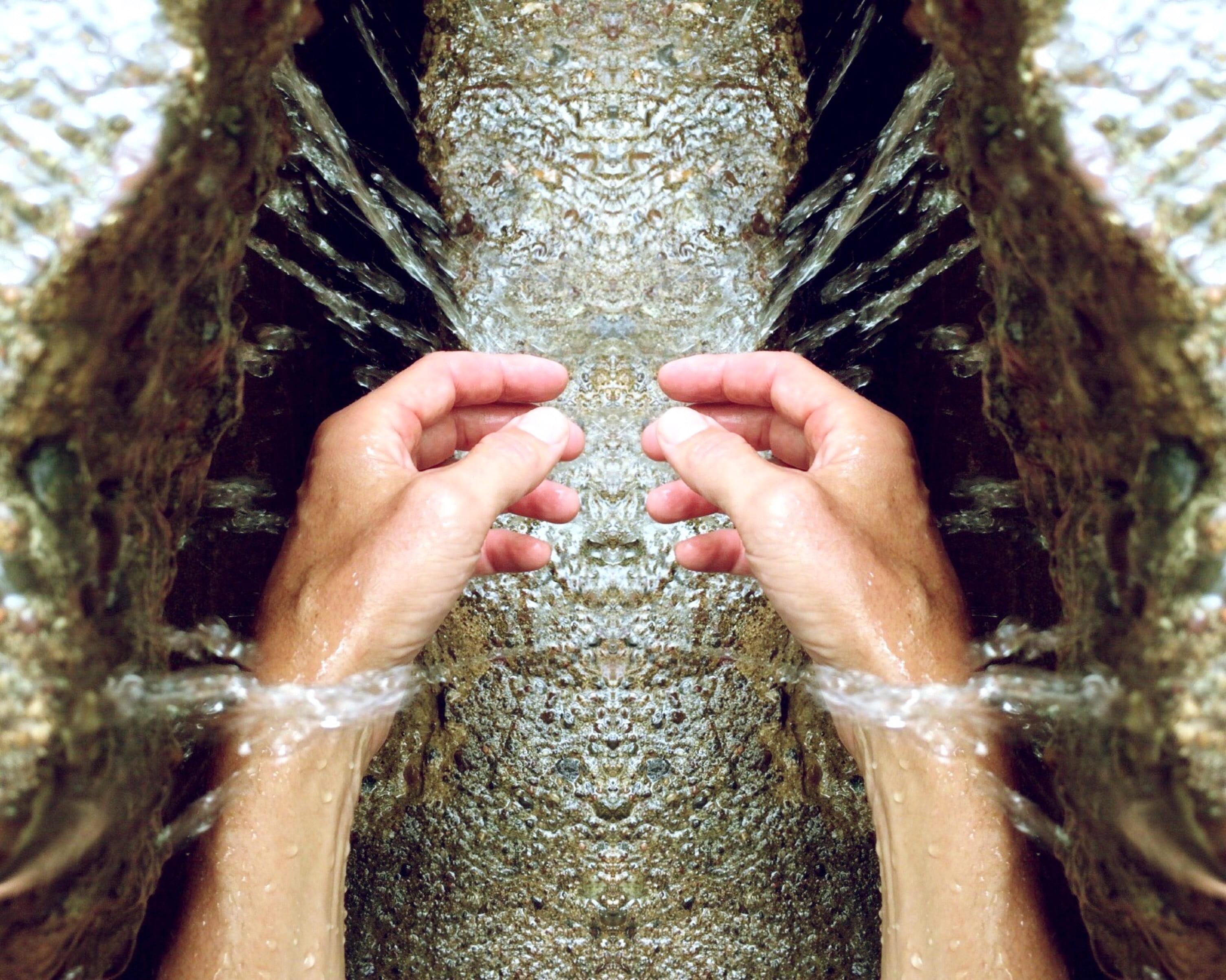 washing, hands, leisure activity, cleaning, trunk, plant, human body part, 2K, tree trunk, textured, water, day, tree, human hand, body part, focus on foreground, HD Wallpaper