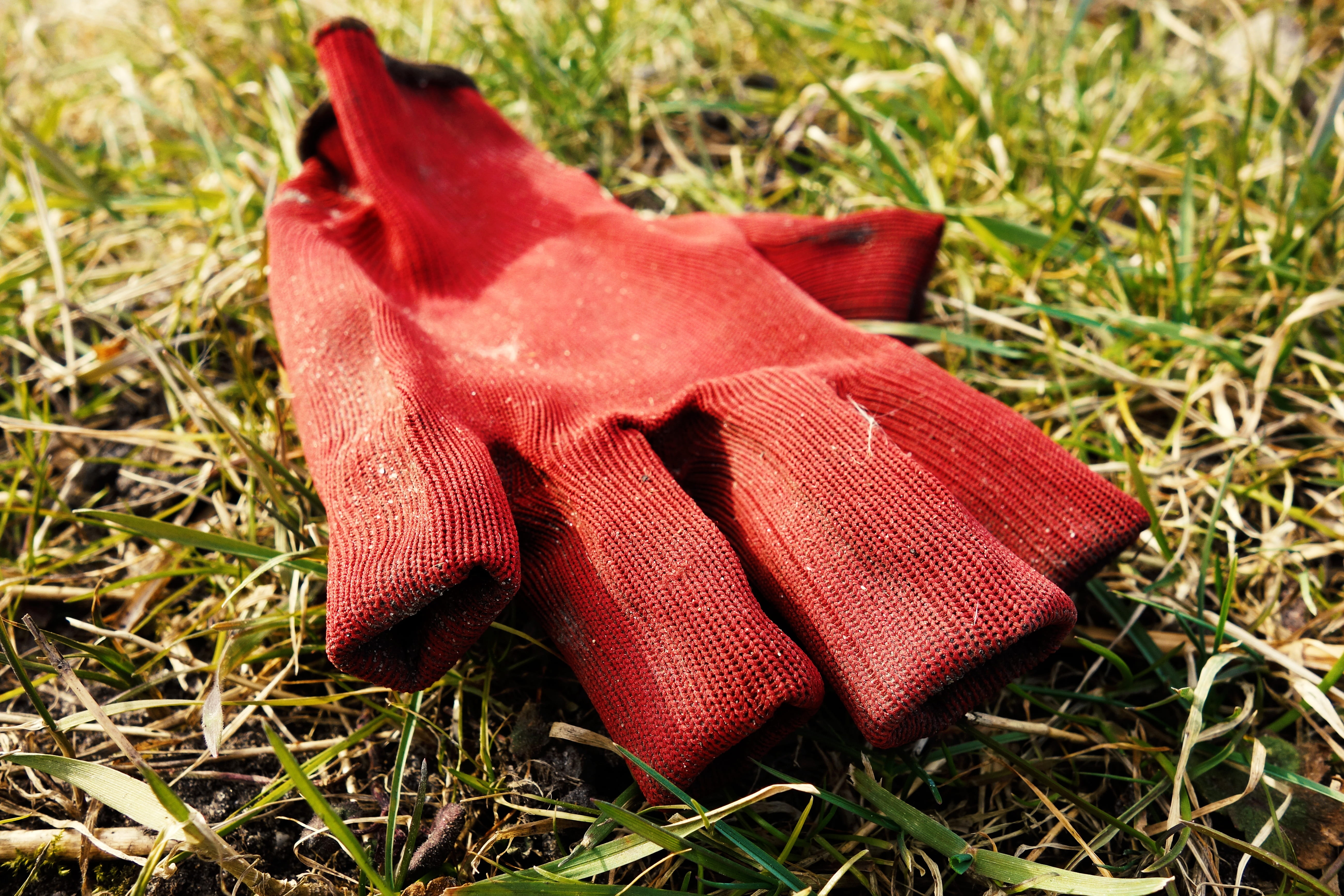 protection, work, hand, beauty in nature, red, leaf, green color, day, gardening, nature, vulnerability, field, flower, glove, plant part, sunlight, 5K, HD Wallpaper