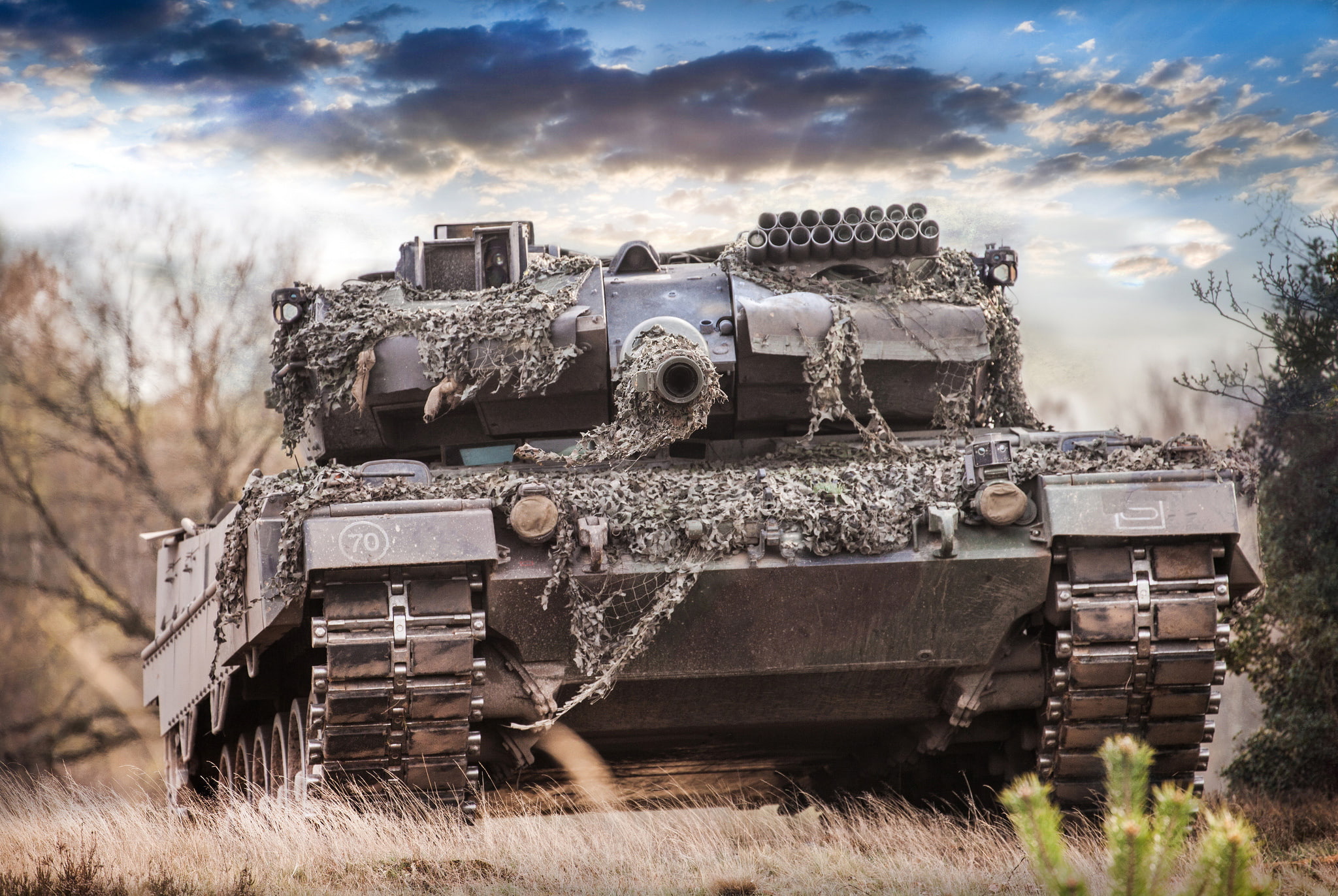 the past, military, field, armored tank, plant, land, grass, tree, forest, old, gray, transportation, Leopard 2A6M, cloud - sky, history, main, mode of transportation, HD Wallpaper
