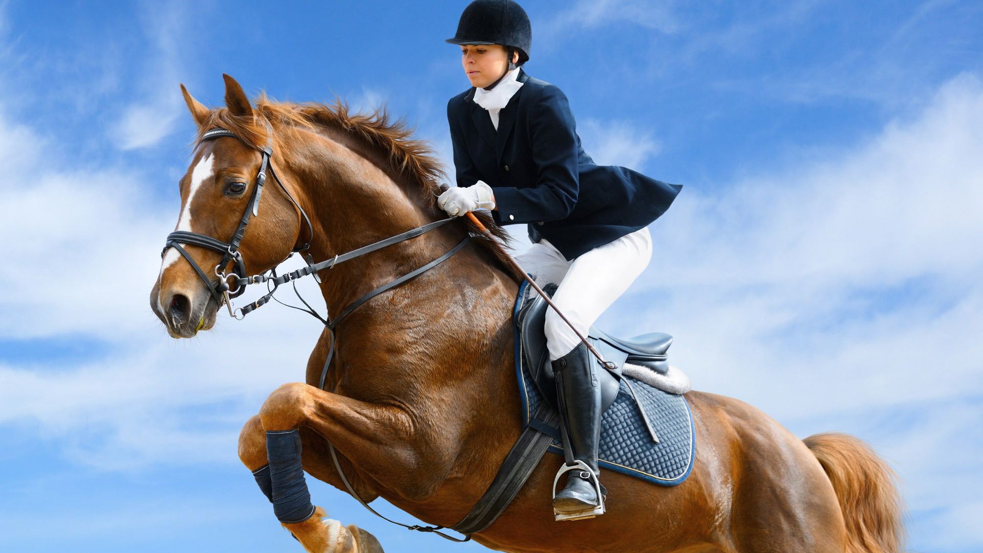 1080P, long, boots, outfit, pants, horse, s, sports, sleeve, black, hat, hd, racing, white, shirt, women, HD Wallpaper