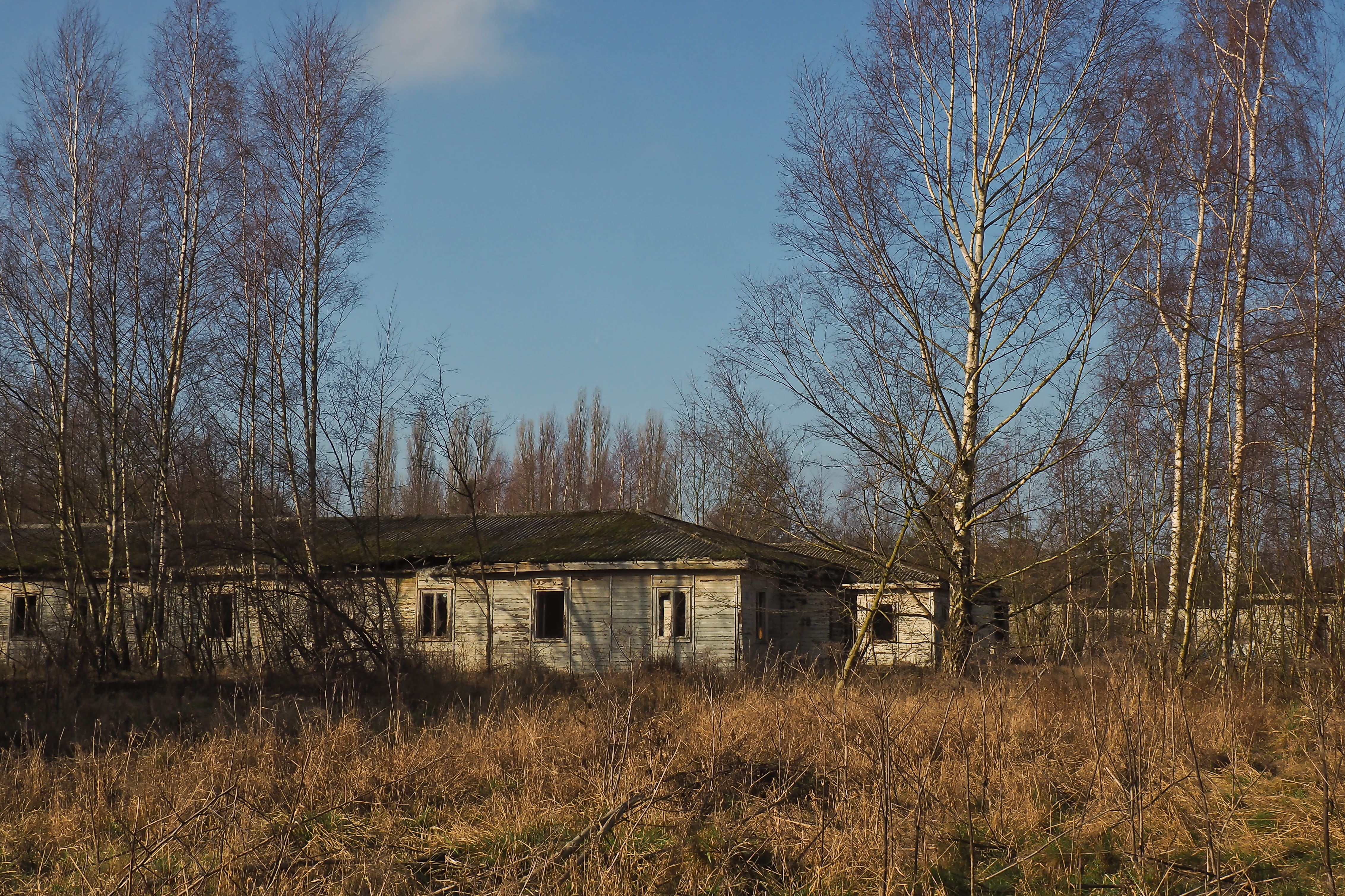 nature, building exterior, outdoors, forget, building, barracks, field, deterioration, birch, dilapidated, no people, day, plant, forgotten places, accommodation, HD Wallpaper