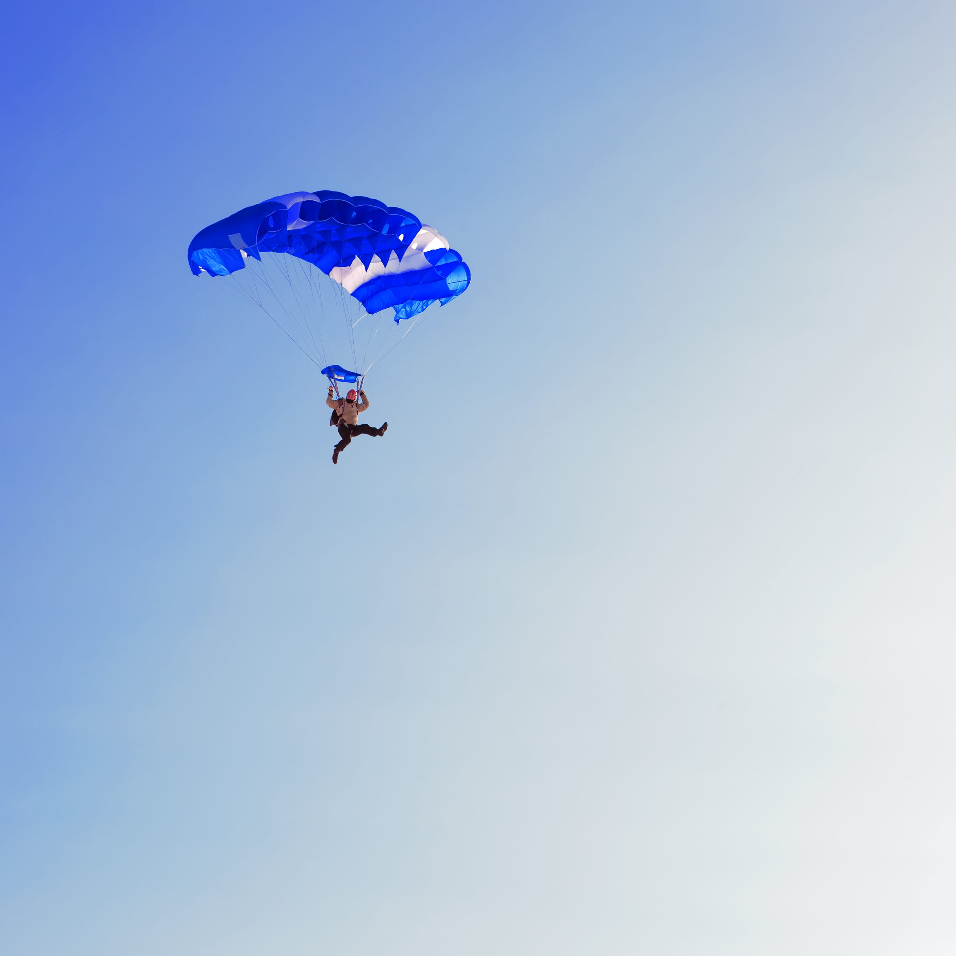adventure, skydive, lifestyles, parachuting, jumping, diving, flying, falling, fly, low angle view, joy, person, people, 2K, parasailing, outdoors, parachutist, Phone HD Wallpaper