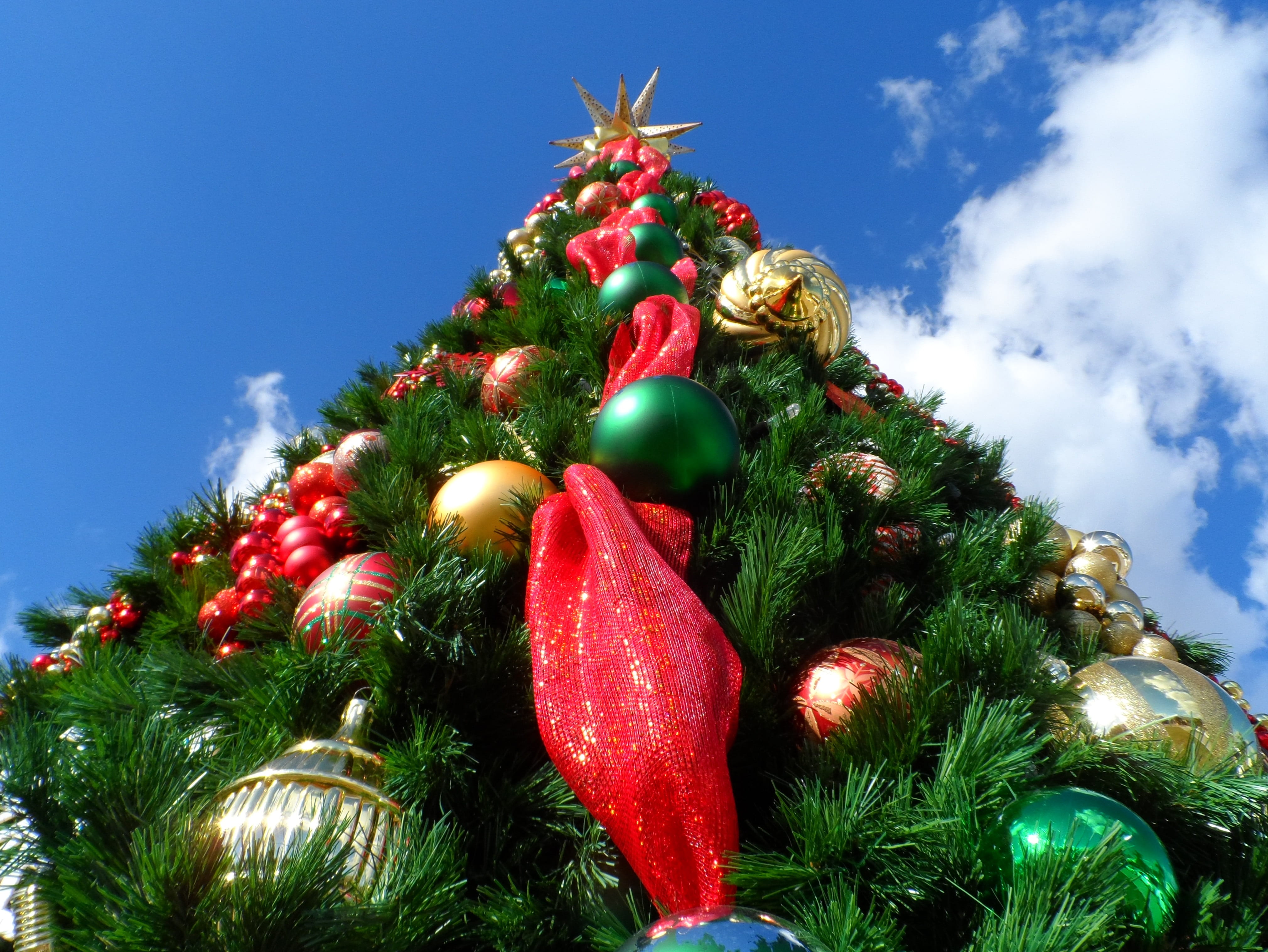 holiday, x-mas, no people, low, christmas ornament, present, nature, low angle view, green, clouds, daytime, celebration event, plant, red, tree topping, HD Wallpaper