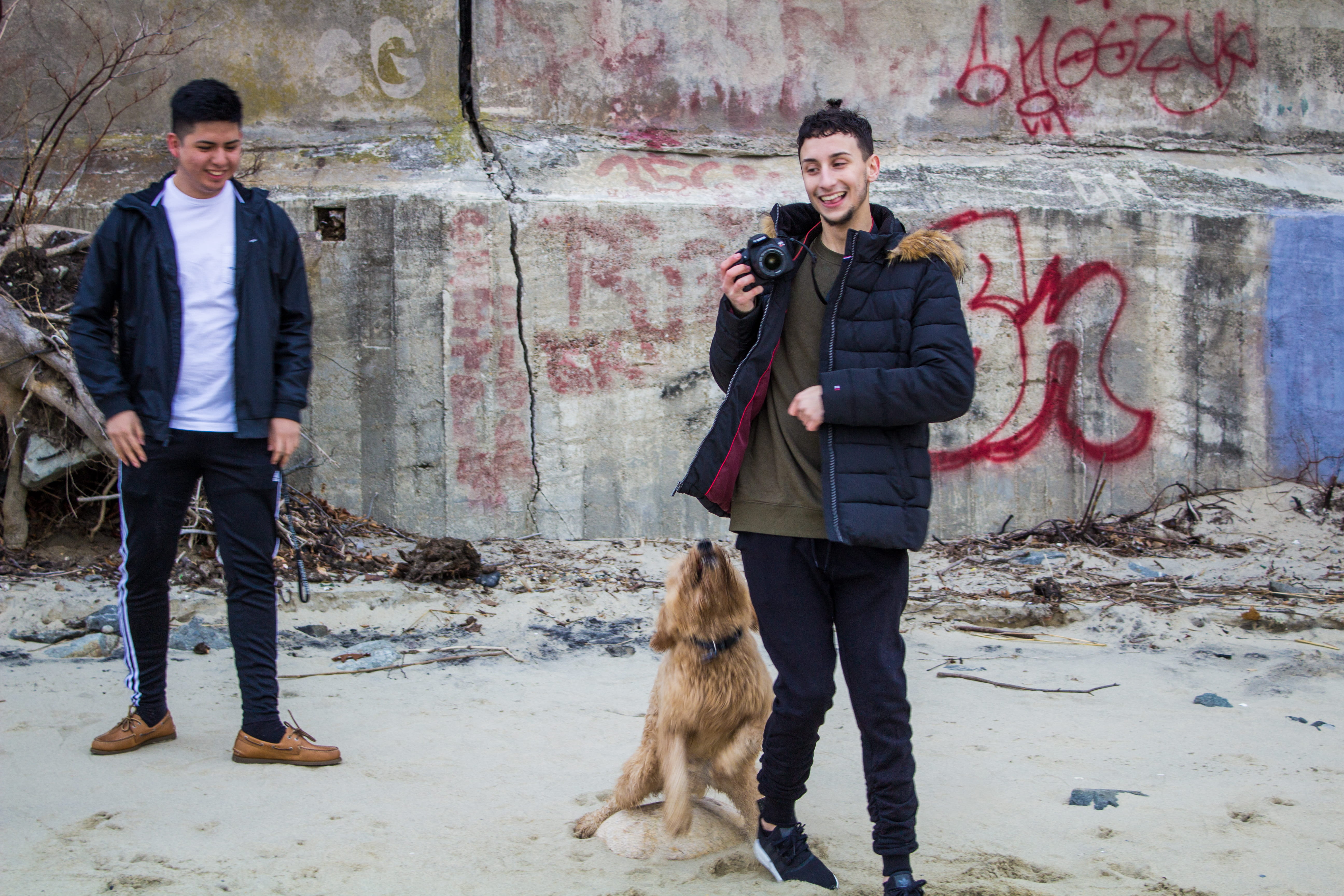 mammal, beach, 5K, graffiti, young adult, males, men, riverside, two people, young men, couple - relationship, canon, standing, full length, people, domestic, HD Wallpaper