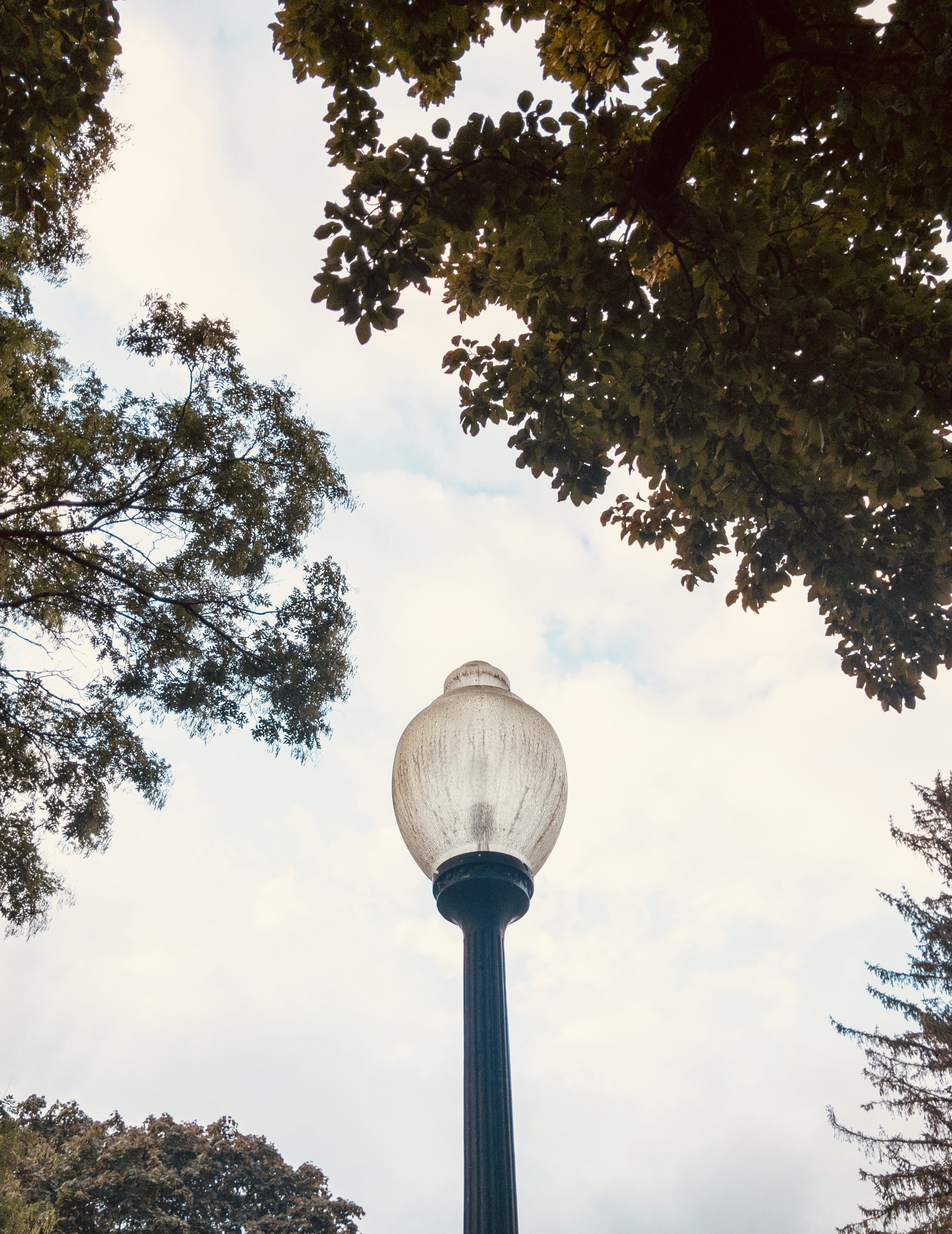 low angle view, tower, cloud - sky, united states, nature, providence, day, 4K, tree, architecture, tall - high, plant, spire, outdoors, city, building exterior, Phone HD Wallpaper