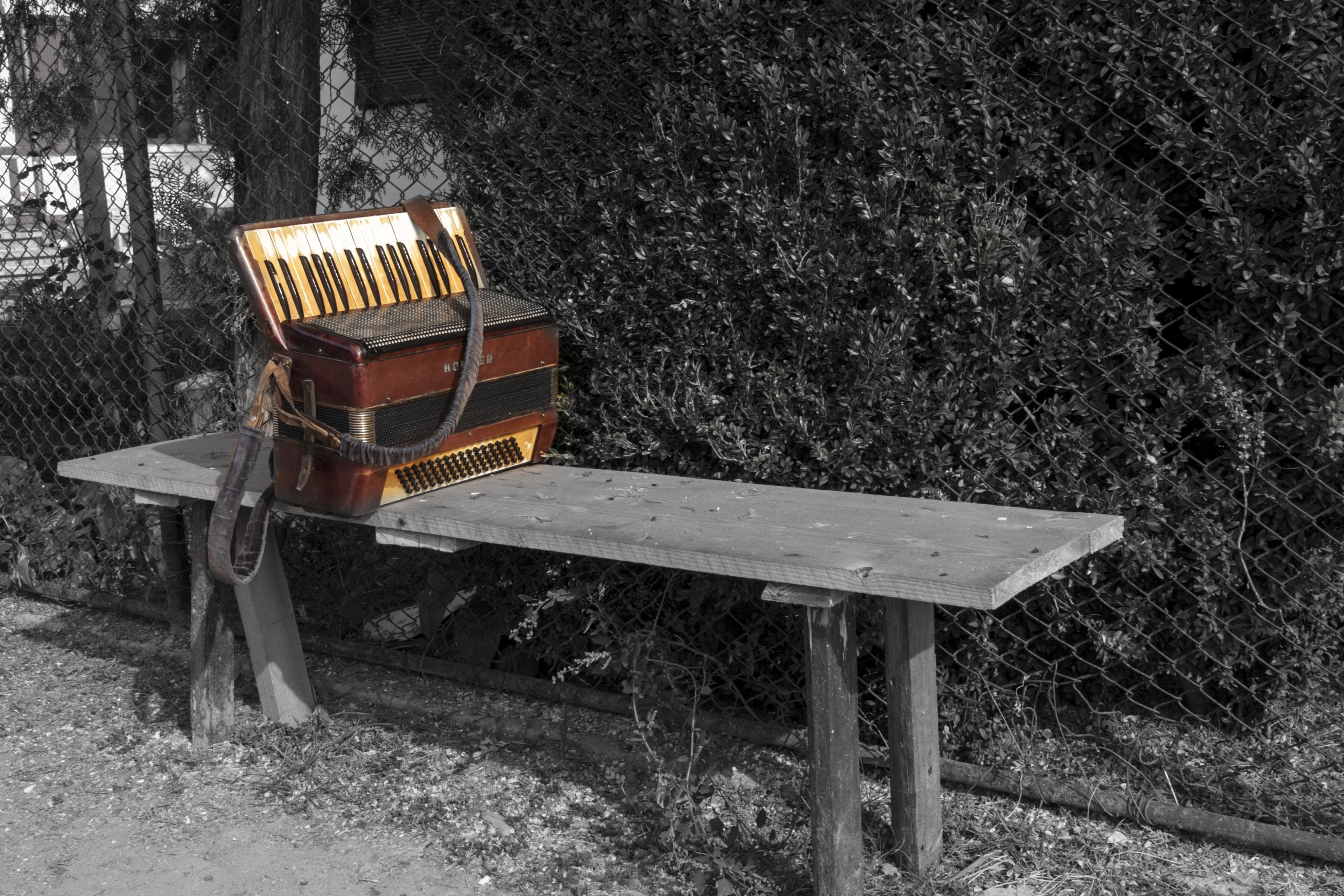 seat, sound, accordion, instrument, musician, field, absence, wood - material, culture, playing, brown, octave, entertain, high angle view, music, snow, HD Wallpaper