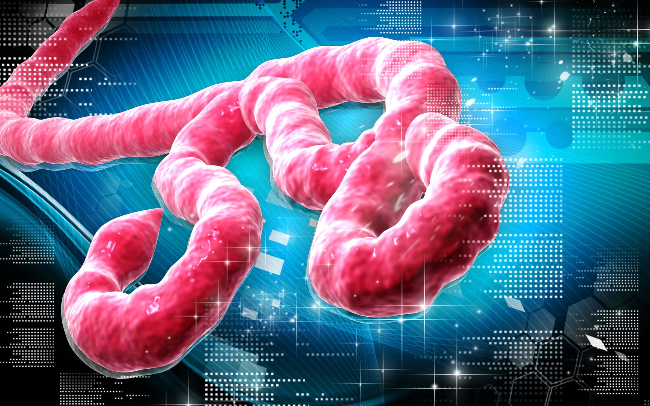 Disease, Virus, Dark, Ebola, Medical, horror, 1080P, HD Wallpaper