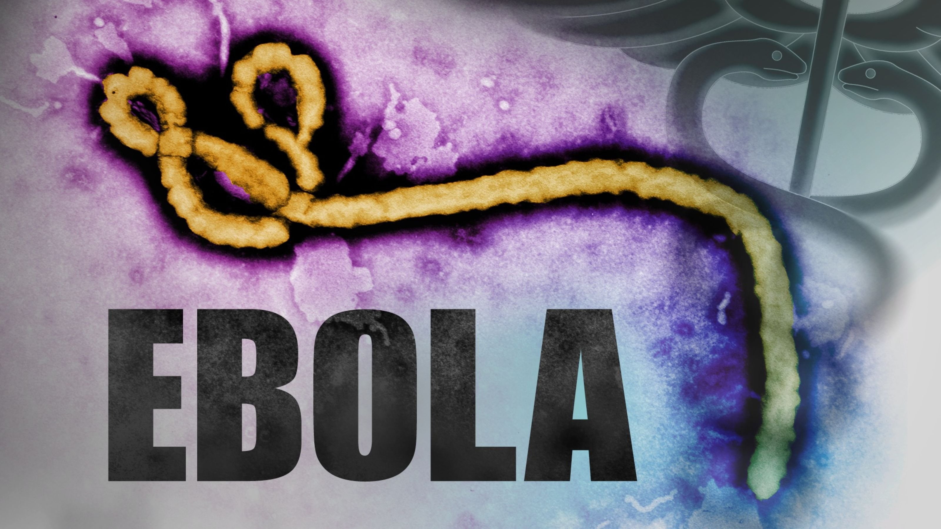 Dark, Disease, Virus, Ebola, Medical, horror, 2K, HD Wallpaper