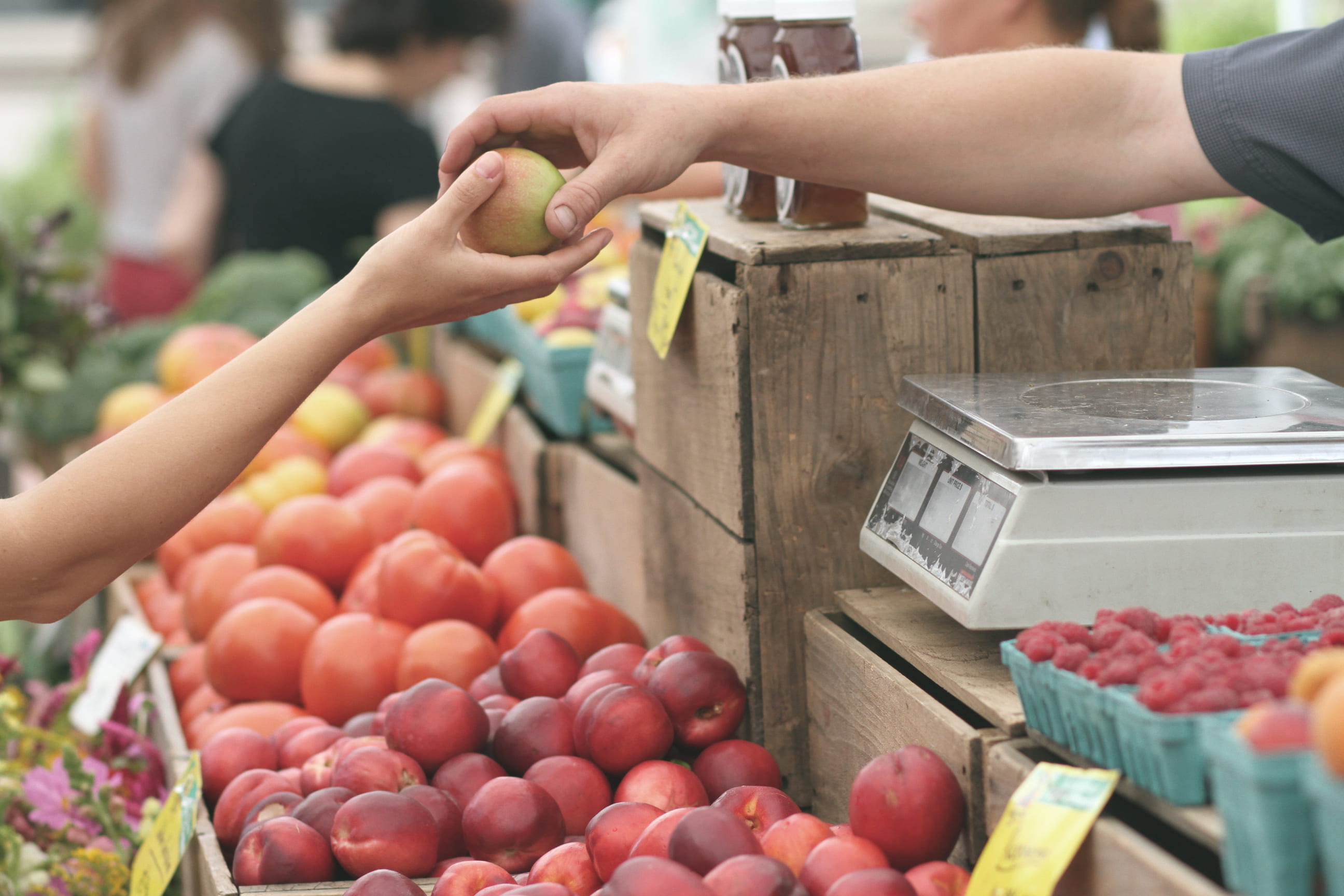 wellbeing, customer, organic, large group of objects, giving, deal, human limb, hands, another, sales, day, food, fruit, focus on foreground, business, HD Wallpaper